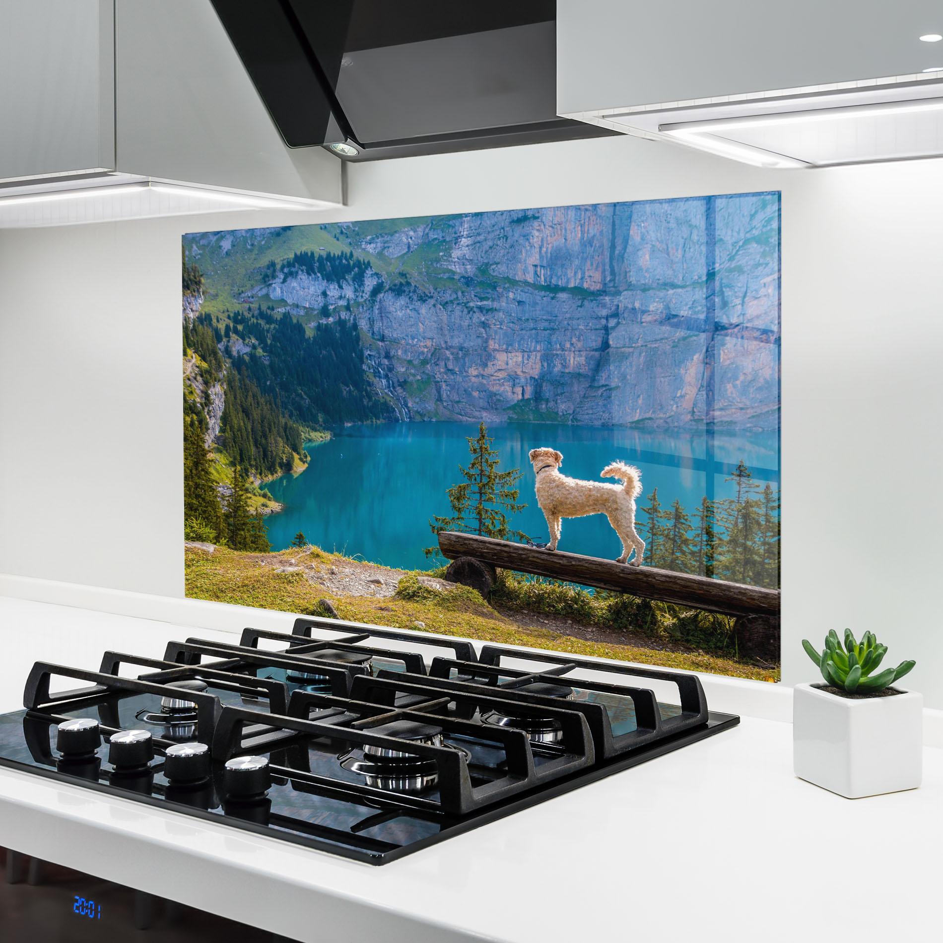Küchenrückwand Glas Dog mockup 6