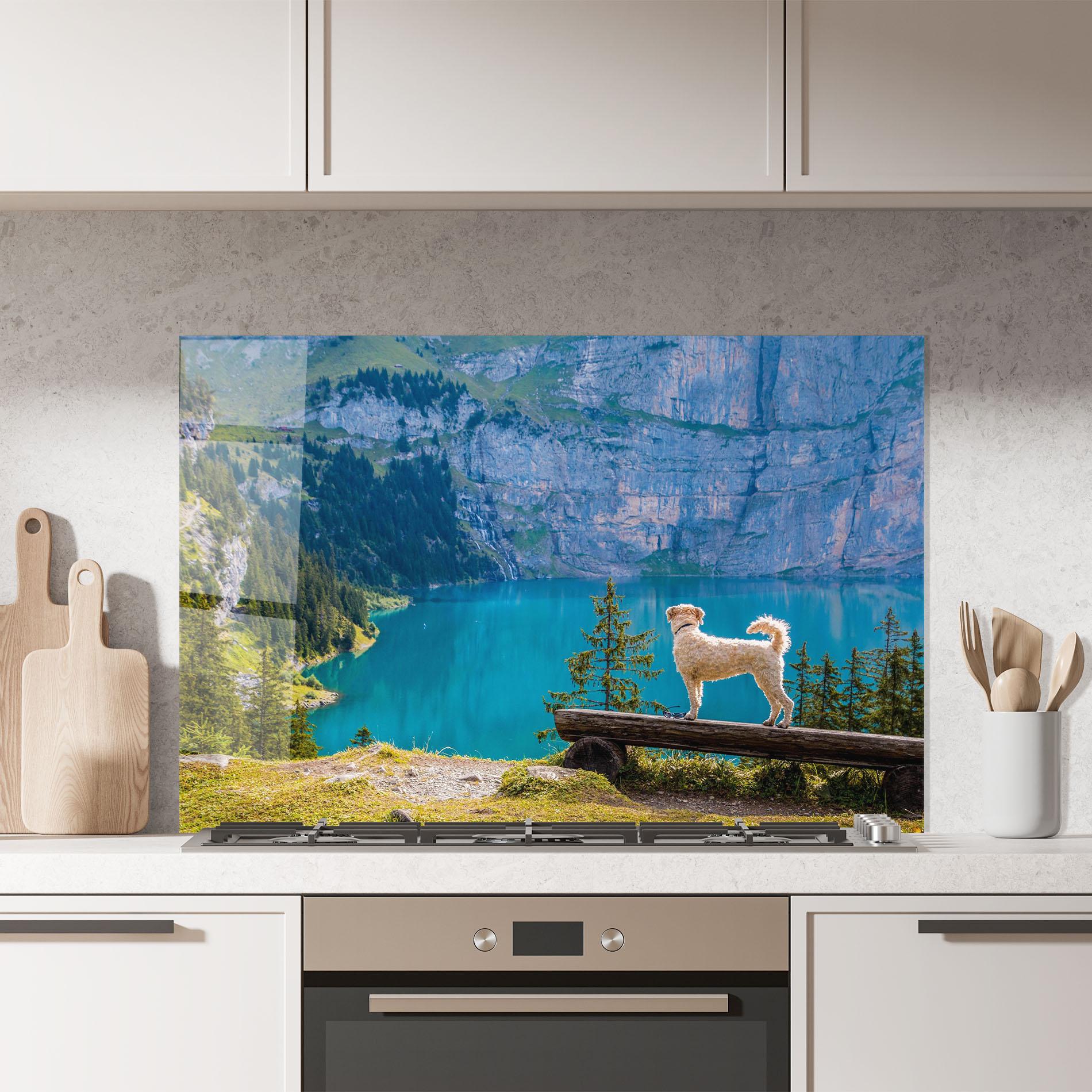 Küchenrückwand Glas Dog mockup 7
