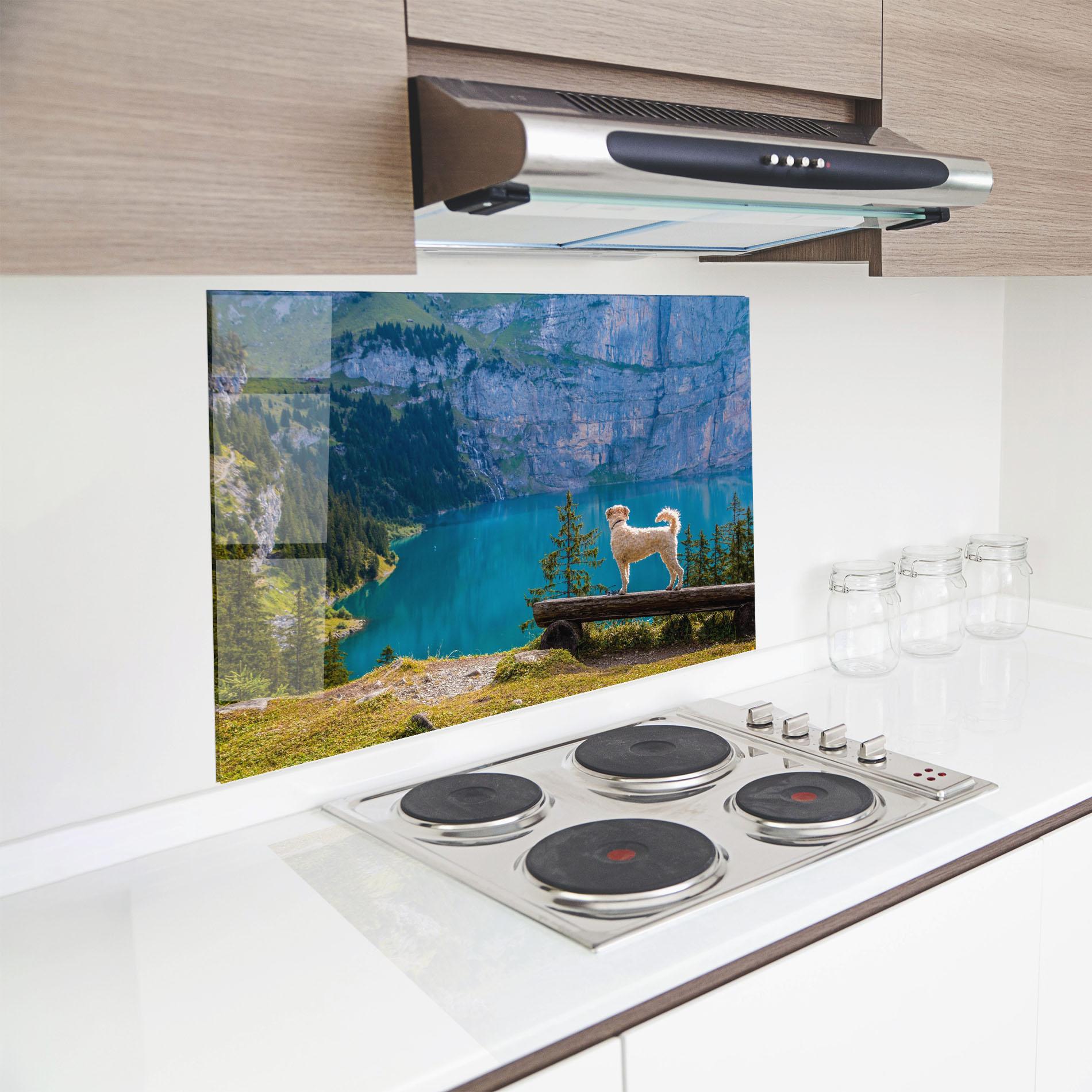 Küchenrückwand Glas Dog mockup 8
