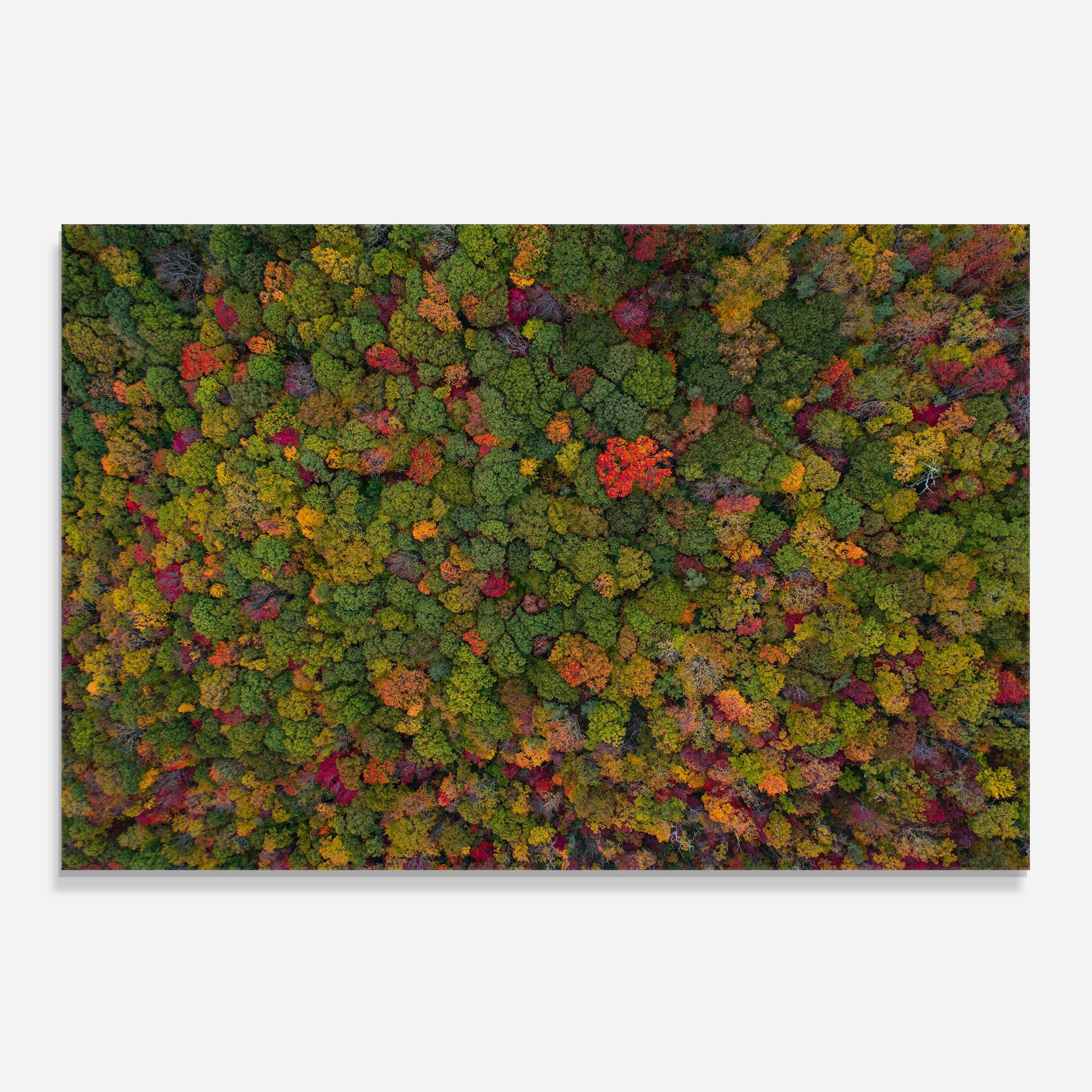 Küchenrückwand Glas Color Mix Forest mockup 0