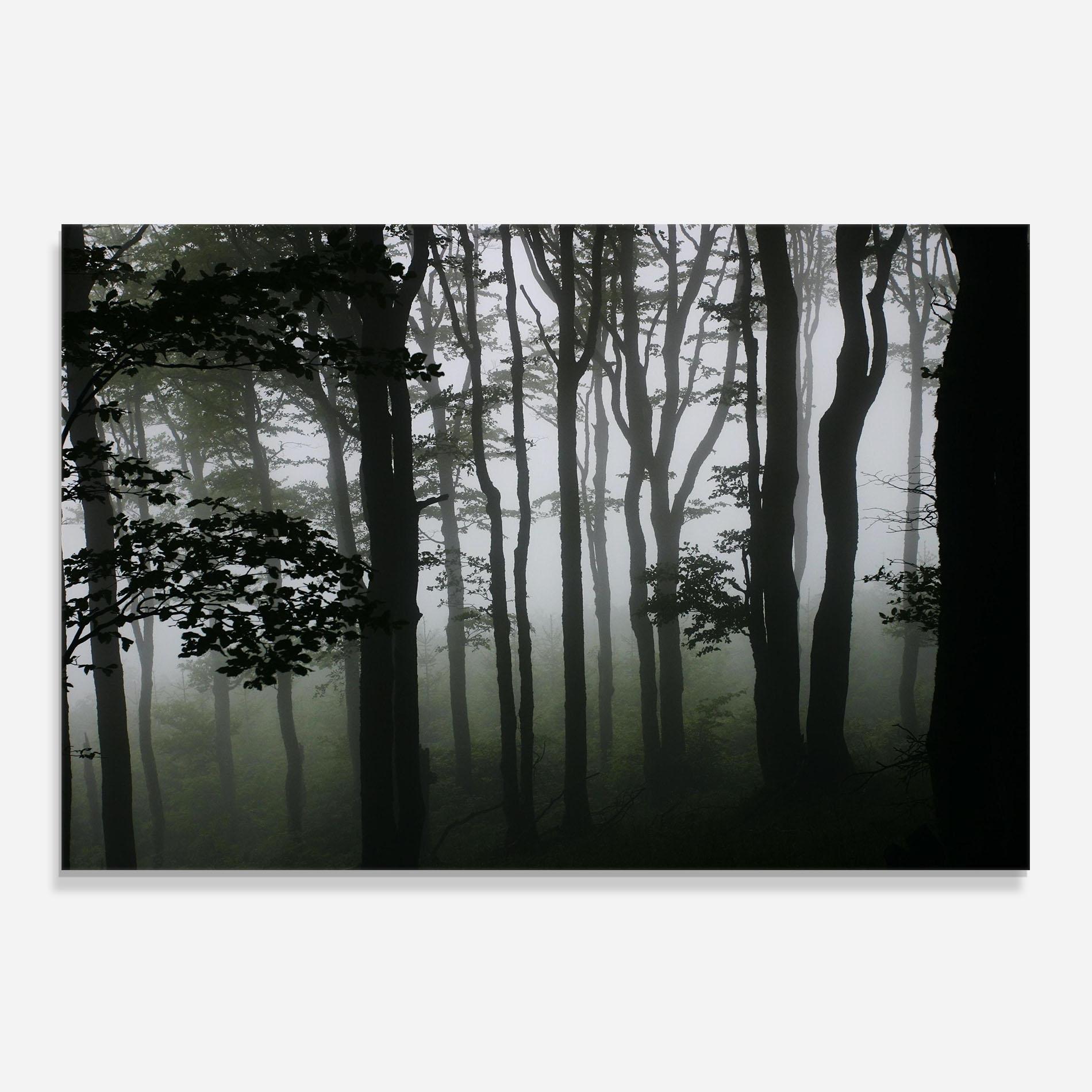 Küchenrückwand Glas Foggy Black Tree mockup 0