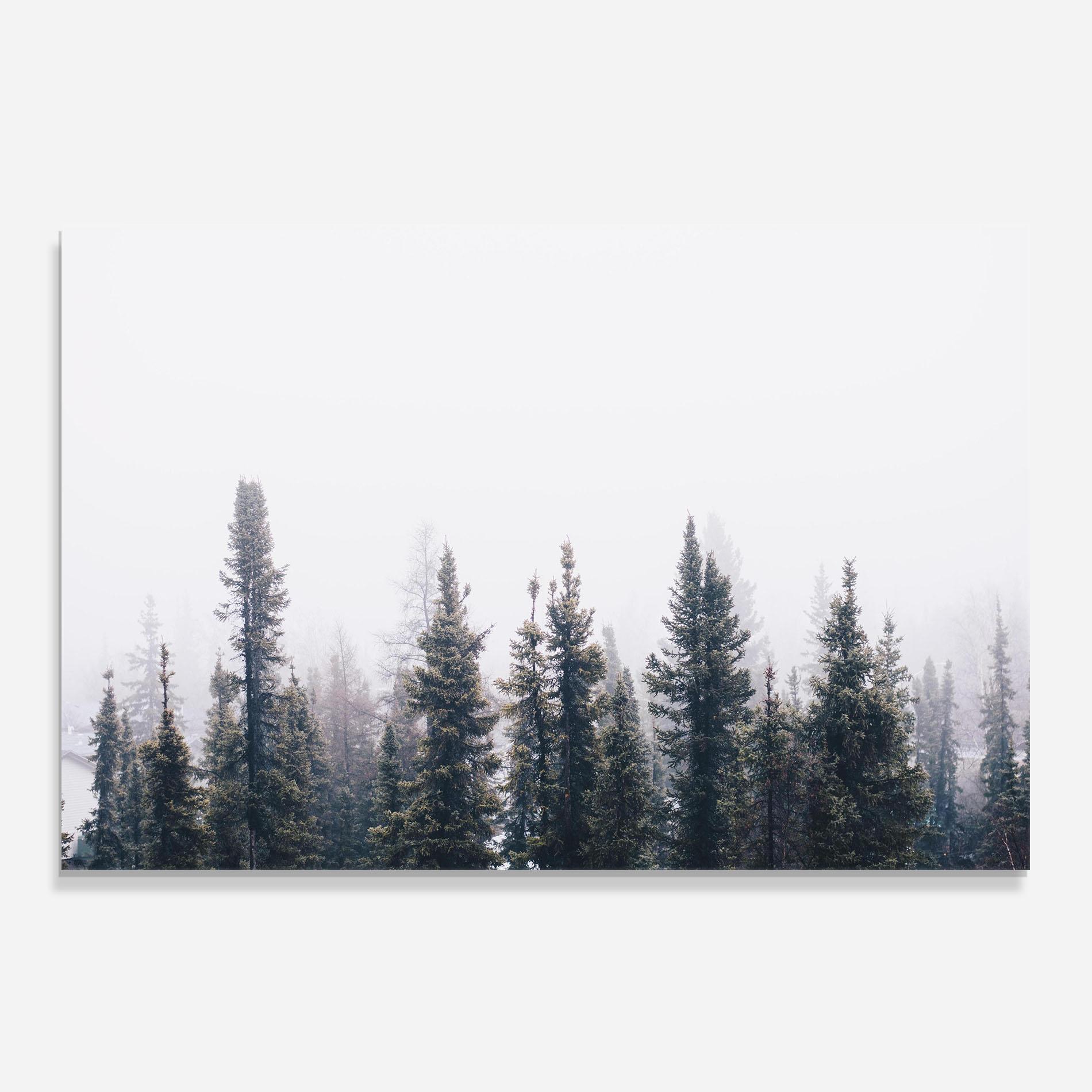 Küchenrückwand Glas Grey Foggy Trees mockup 0