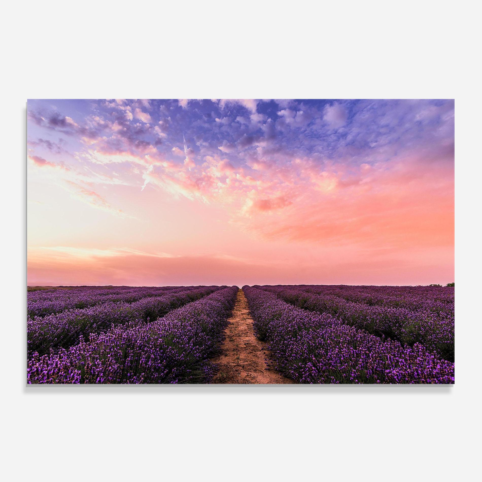 Küchenrückwand Glas Lavender Field mockup 0