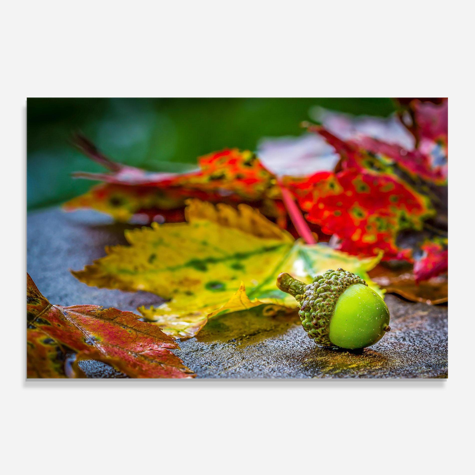 Küchenrückwand Glas Leaf Color Forest mockup 0