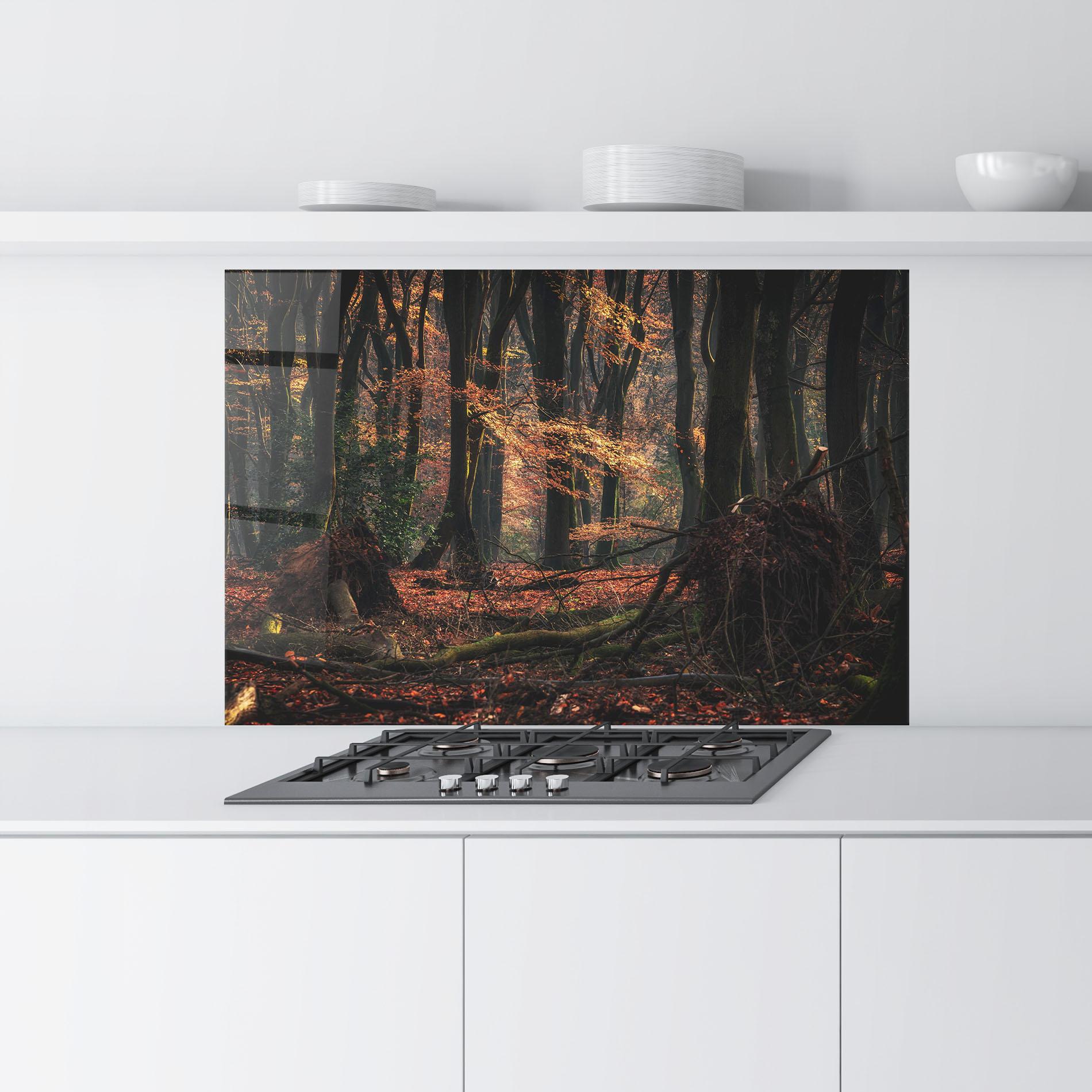 Küchenrückwand Glas Autumn Forest Trees mockup 9