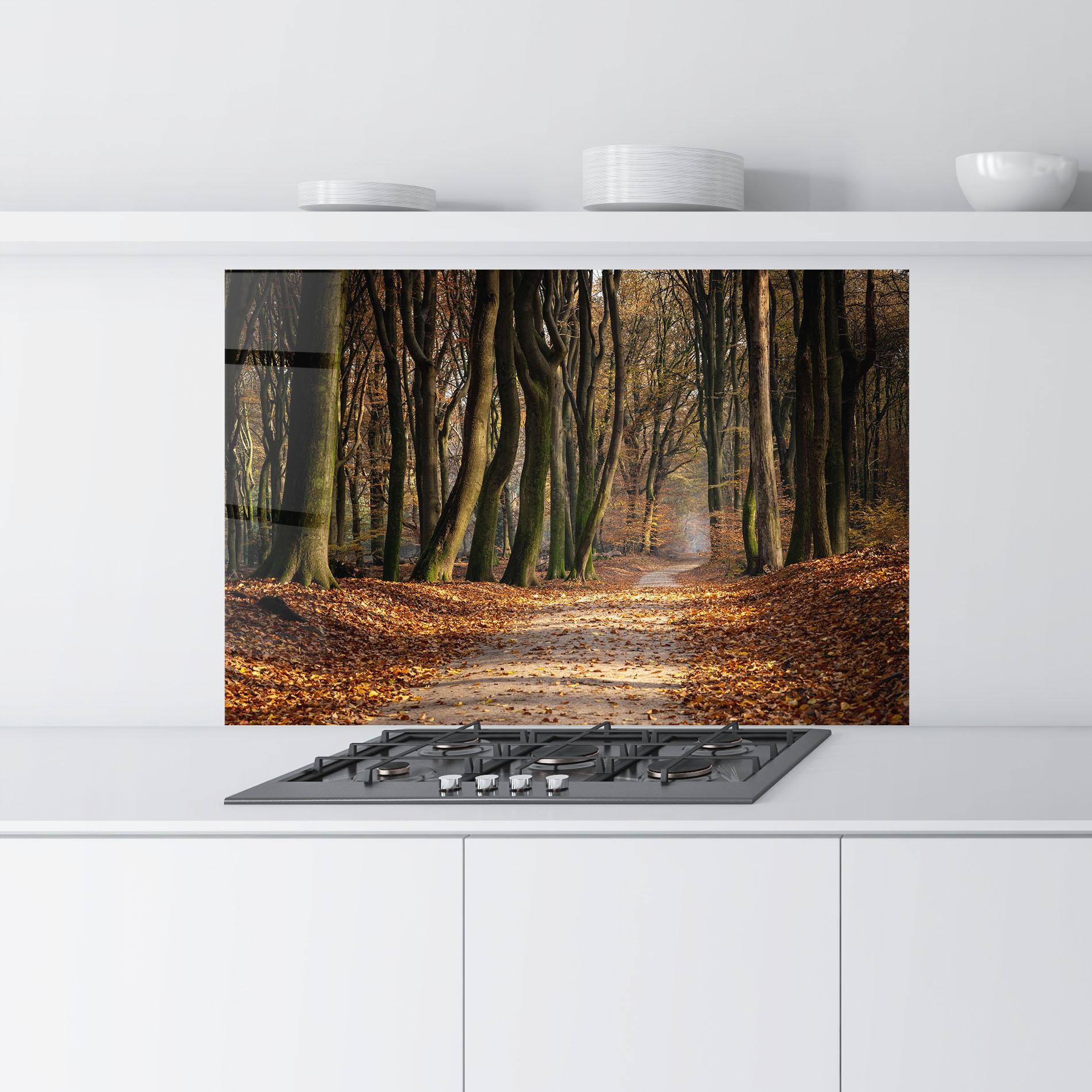 Küchenrückwand Glas Autumn Path Forest mockup 9