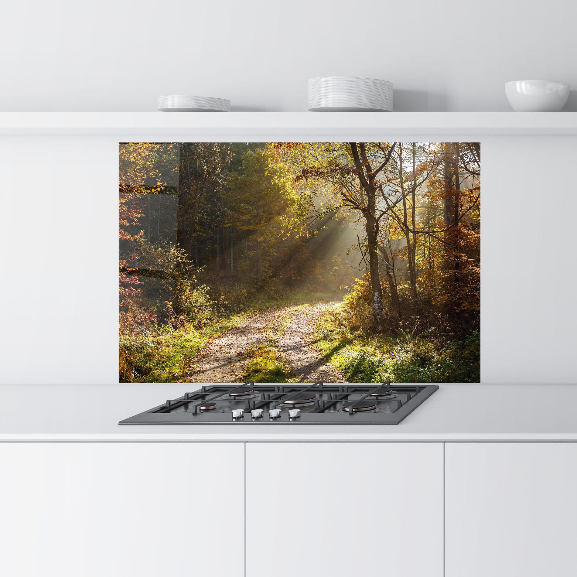 Küchenrückwand Glas Autumn Trees Sun mockup 9