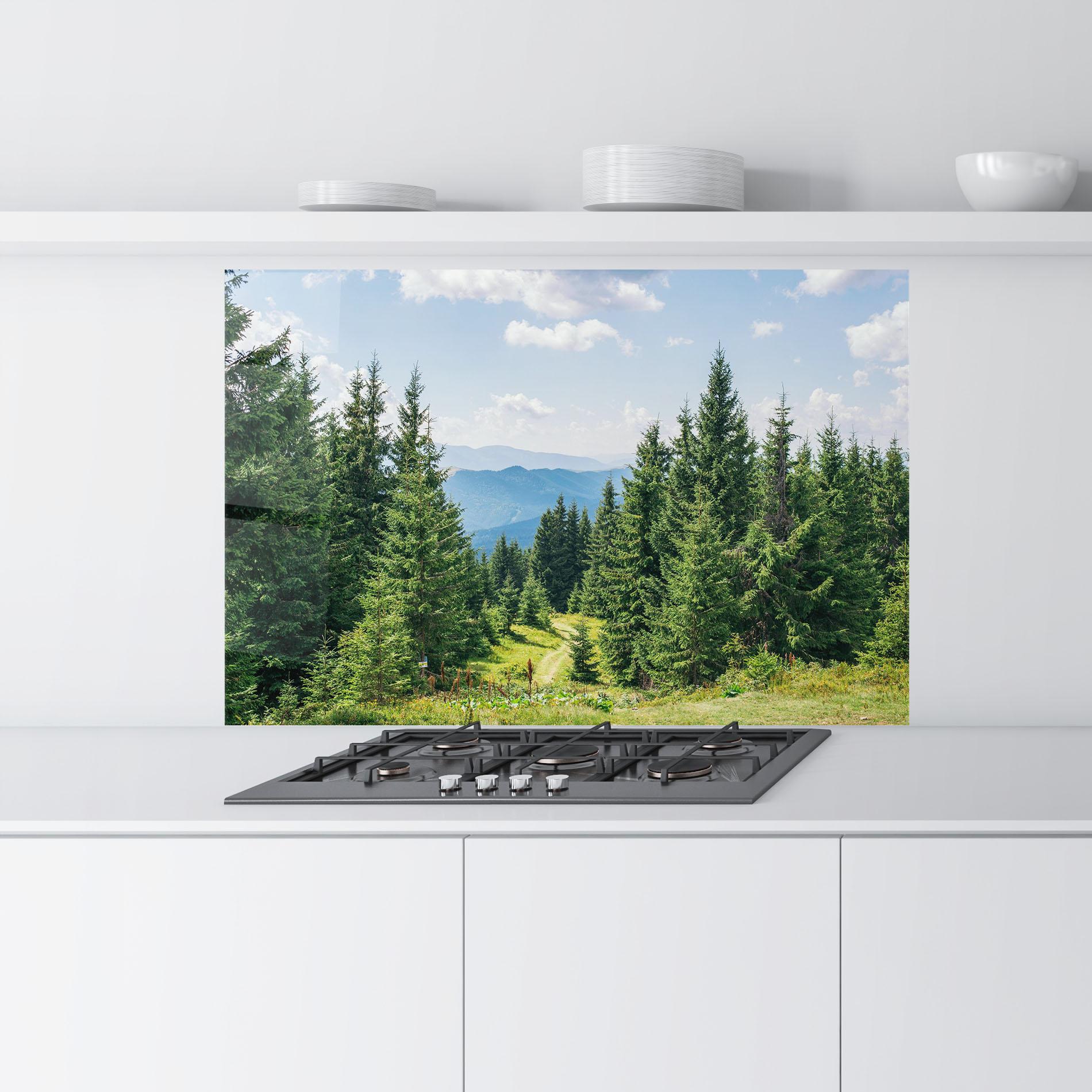 Küchenrückwand Glas Carpathian Mountain mockup 9