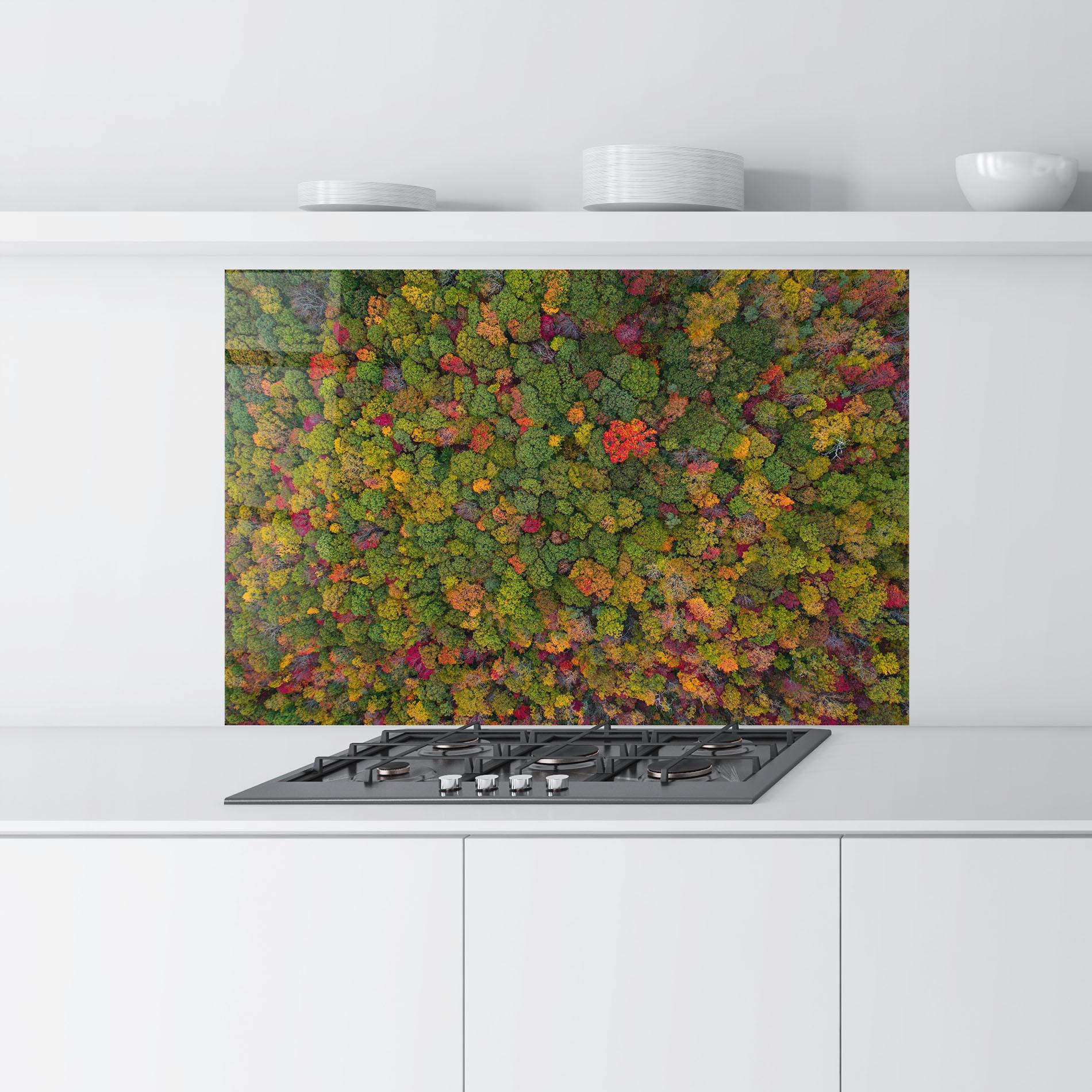 Küchenrückwand Glas Color Mix Forest mockup 9