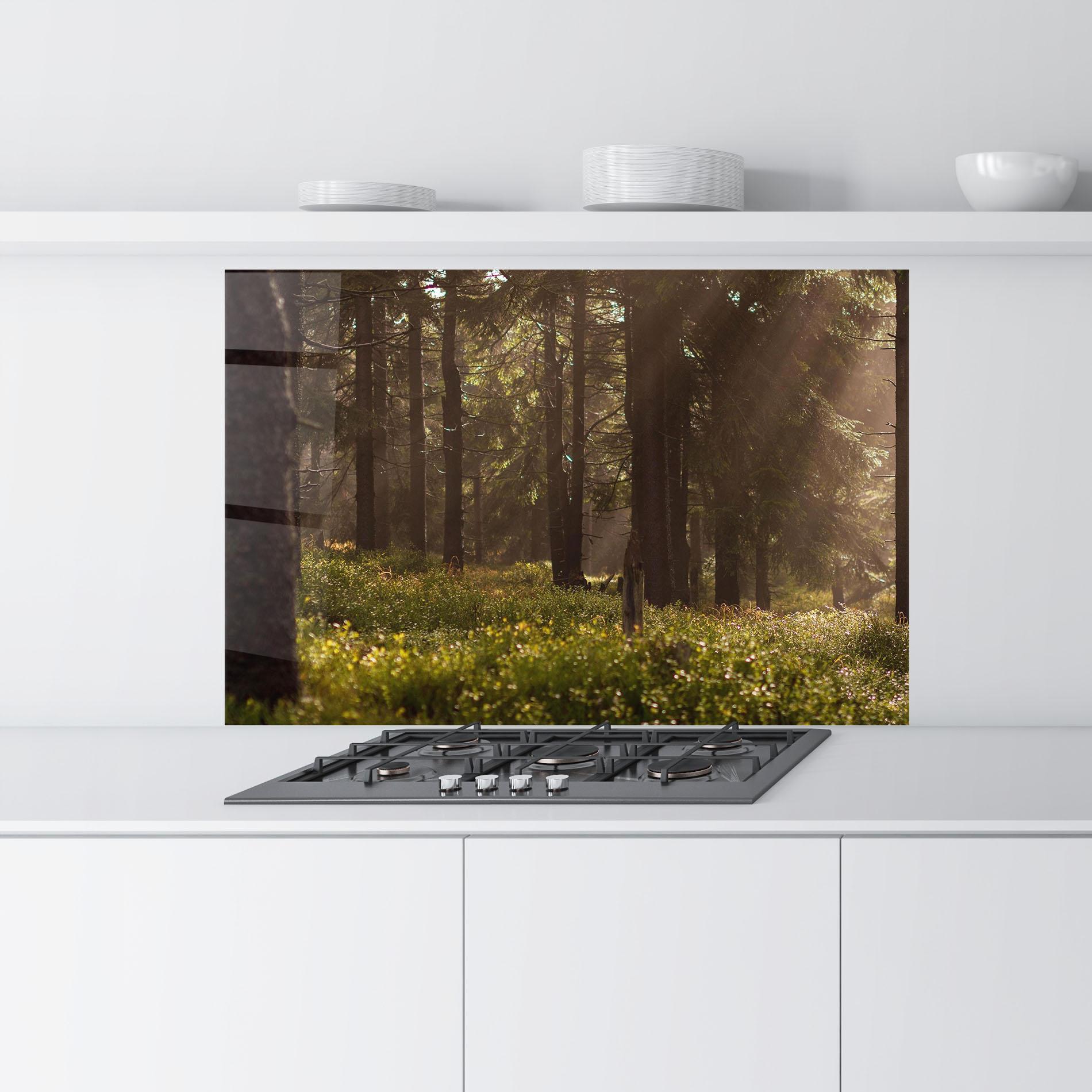 Küchenrückwand Glas Daylight Forest mockup 9