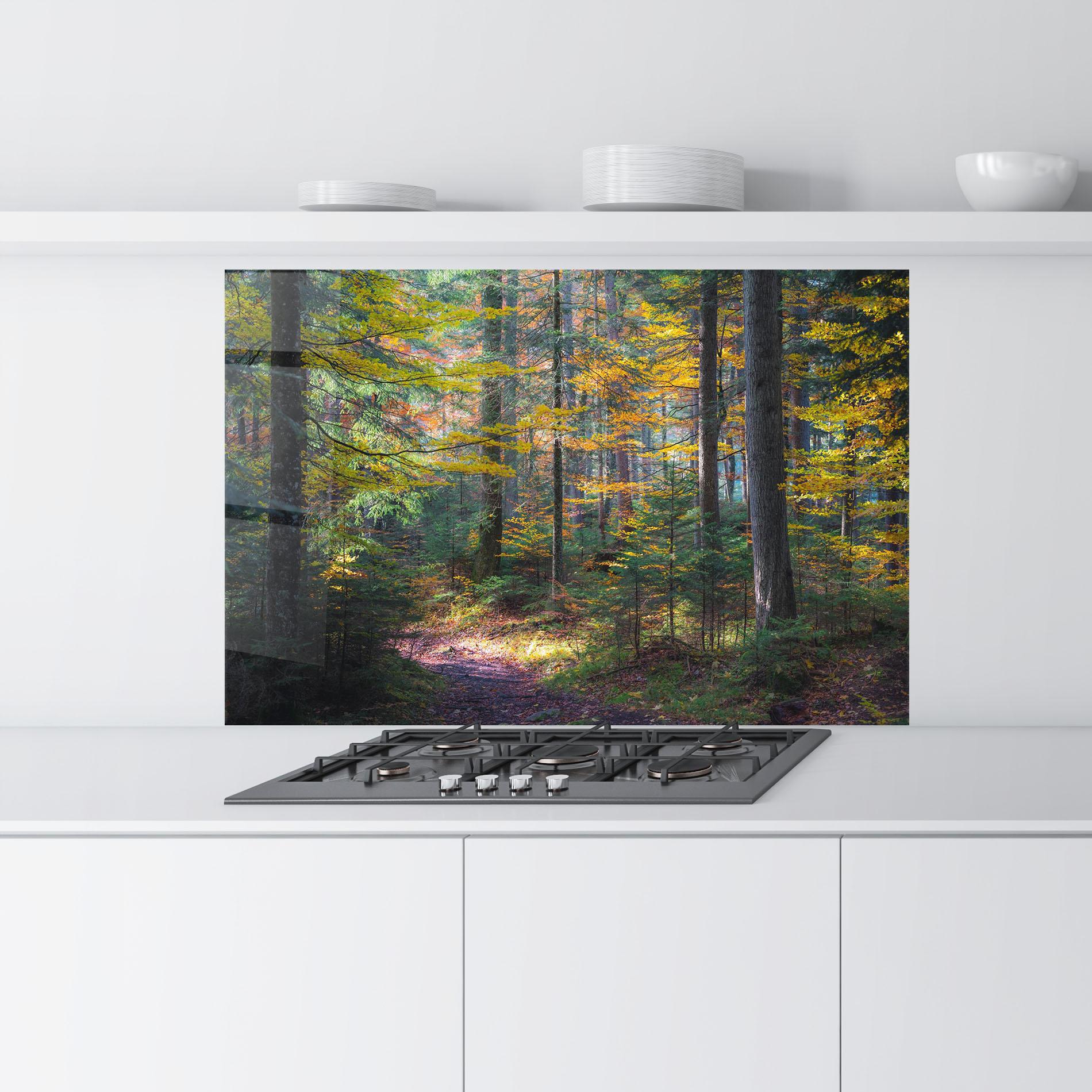 Küchenrückwand Glas Dreamy Path Dorest mockup 9