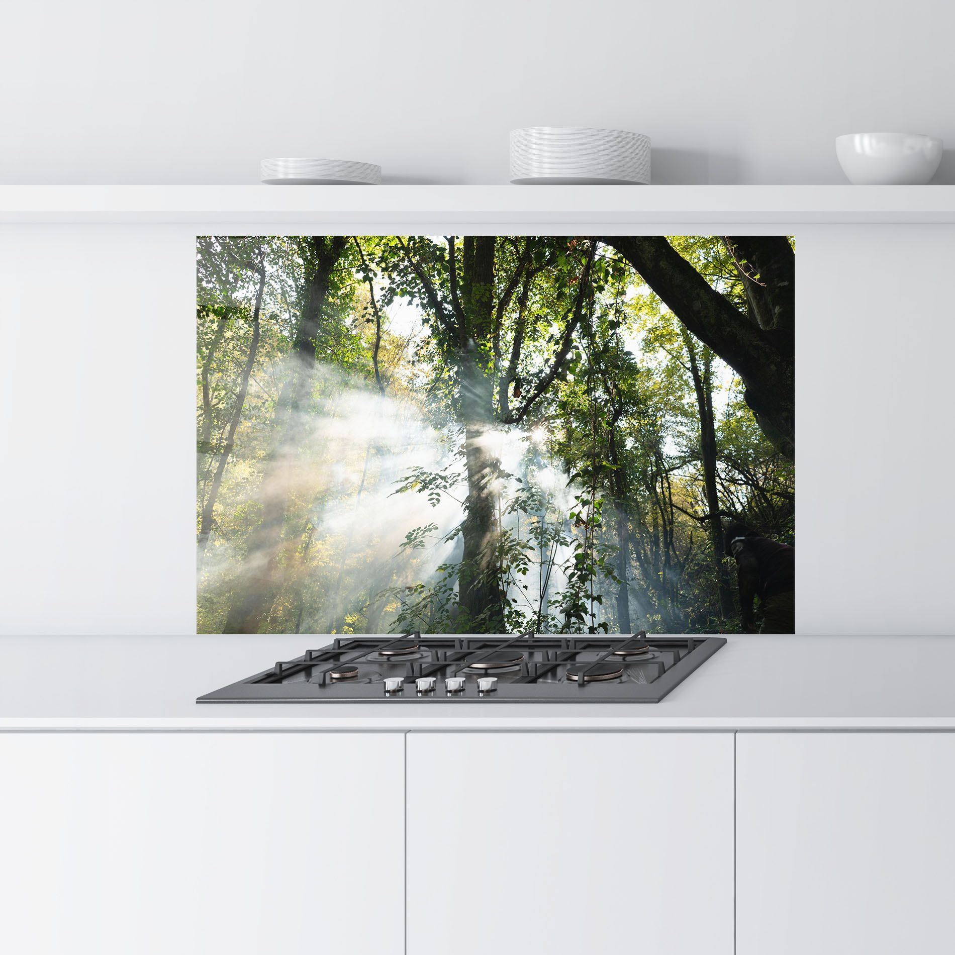 Foggy Light Forest mockup 9