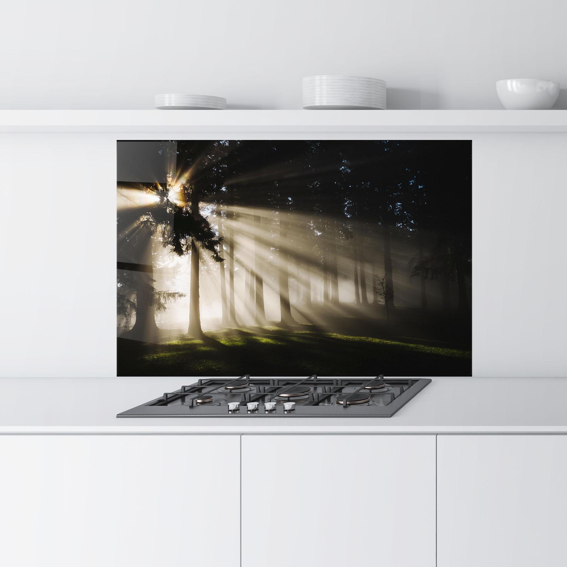 Küchenrückwand Glas Forest Foggy Daylight mockup 9