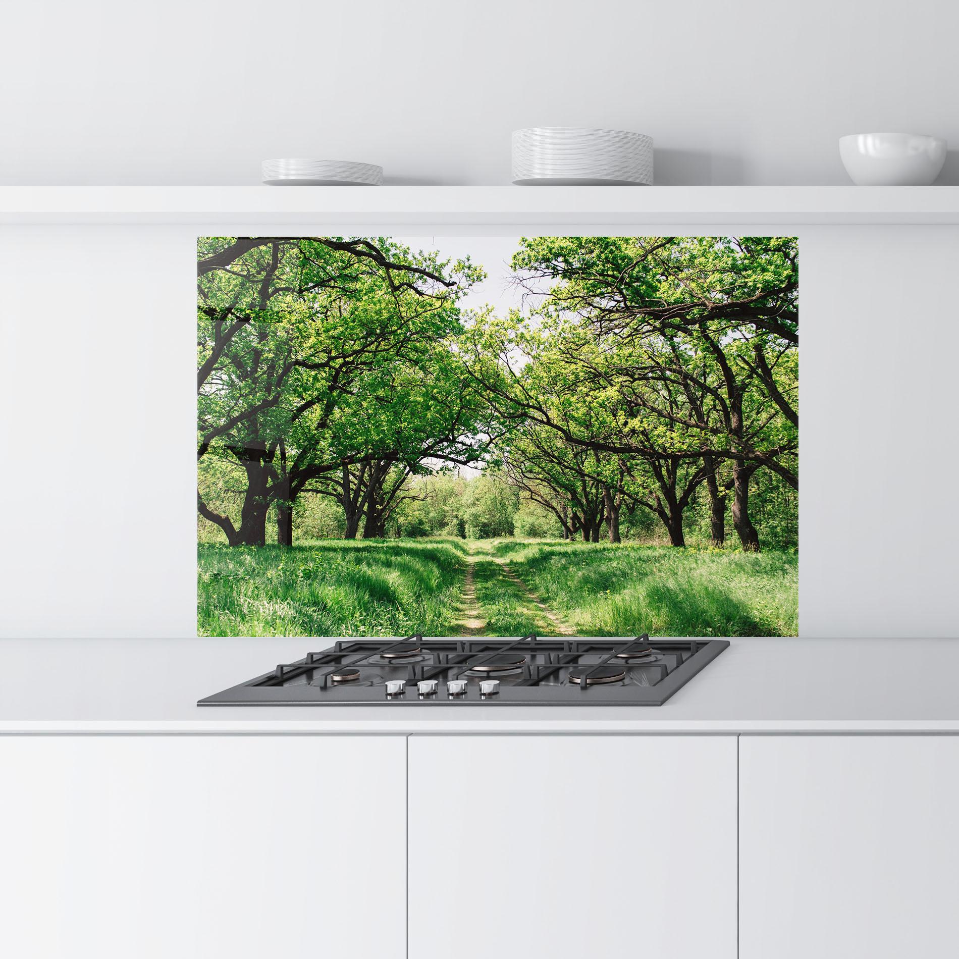Küchenrückwand Glas Forest Green Path mockup 9