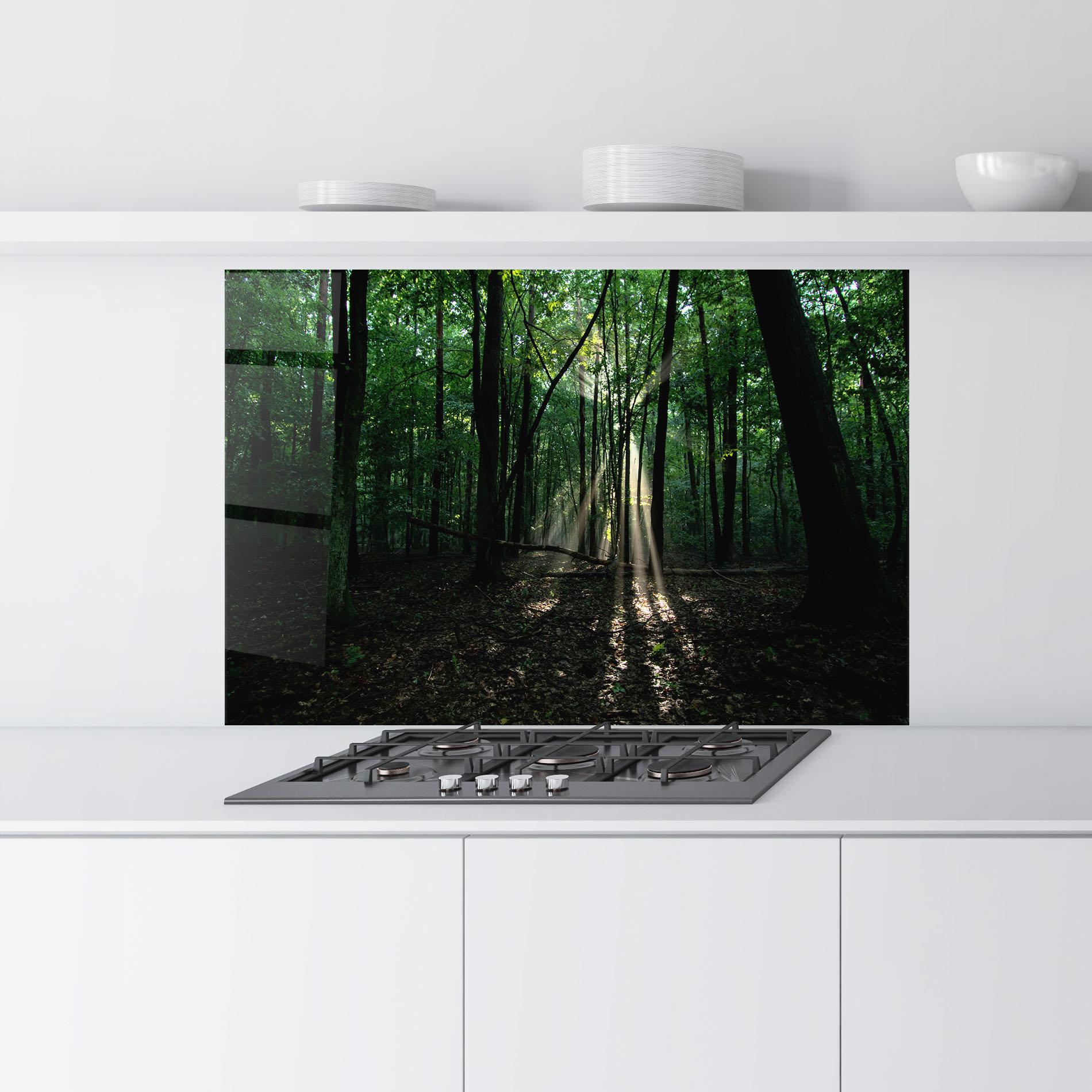 Küchenrückwand Glas Forest Sun Light mockup 9