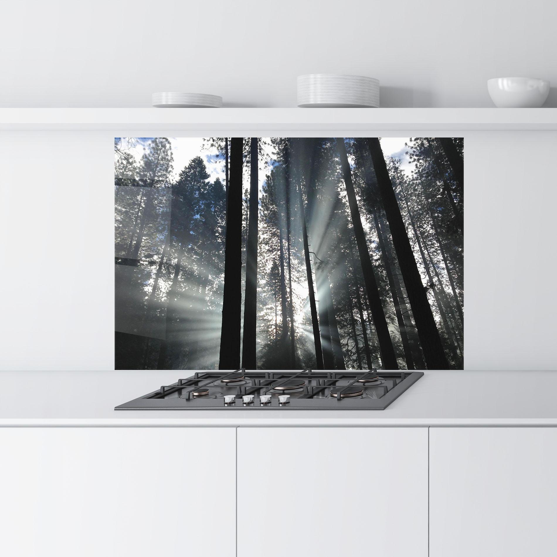 Küchenrückwand Glas Morning Light Forest mockup 9