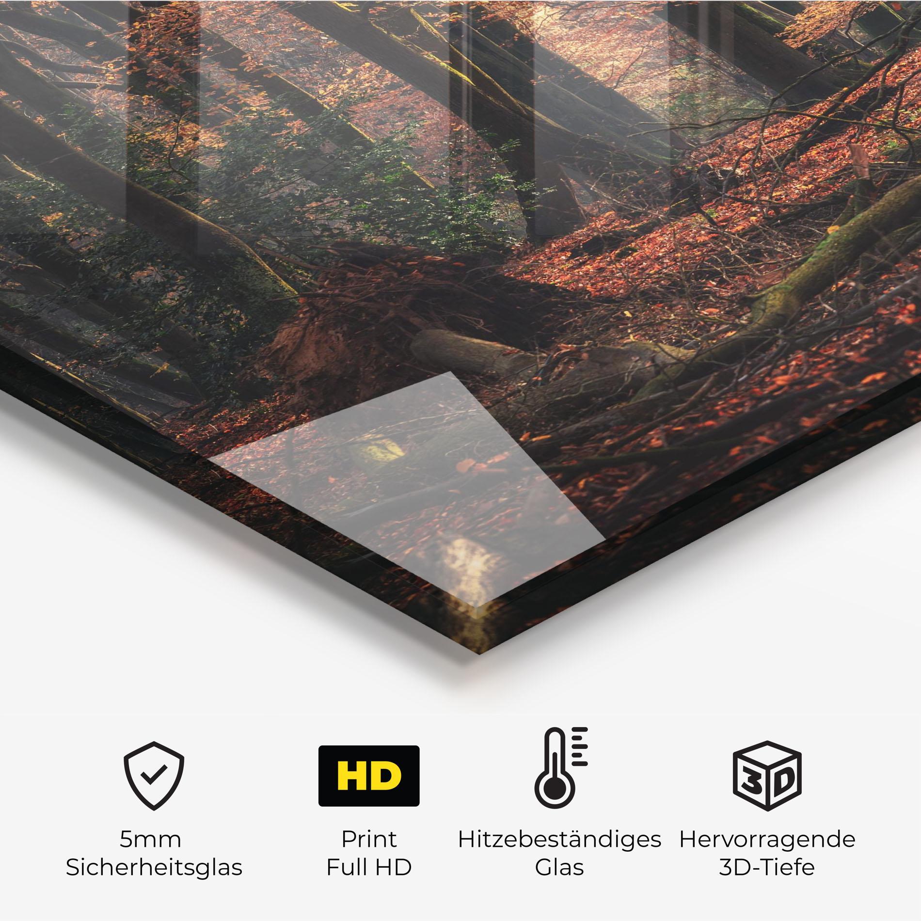 Küchenrückwand Glas Autumn Forest Trees mockup 2