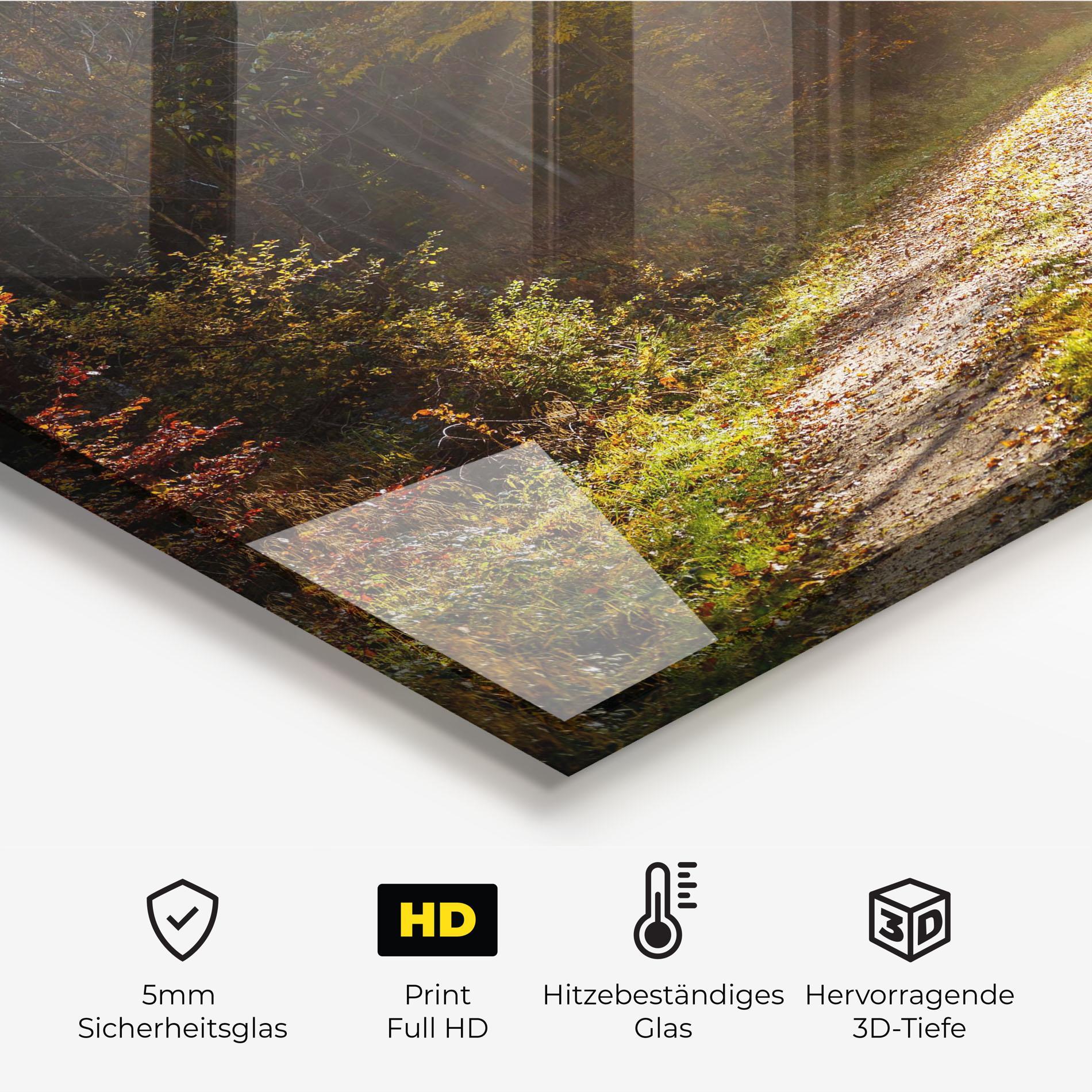 Küchenrückwand Glas Autumn Trees Sun mockup 2