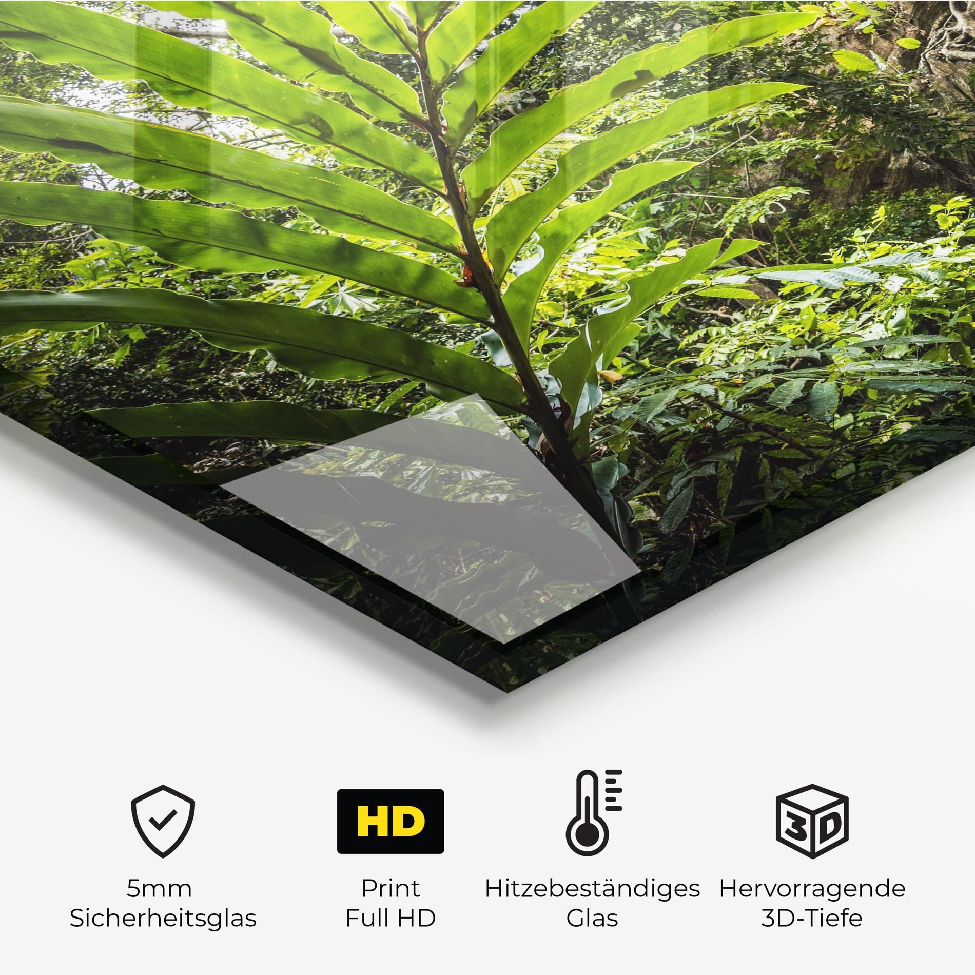 Big Leaf Forest mockup 2