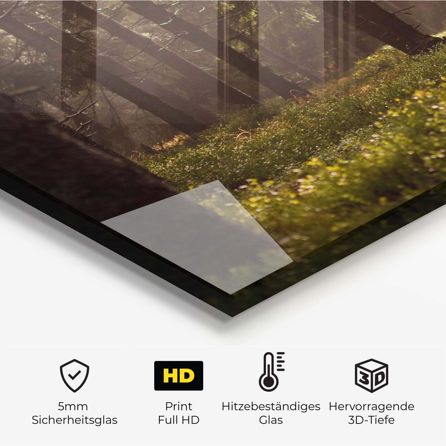 Daylight Forest mockup 2