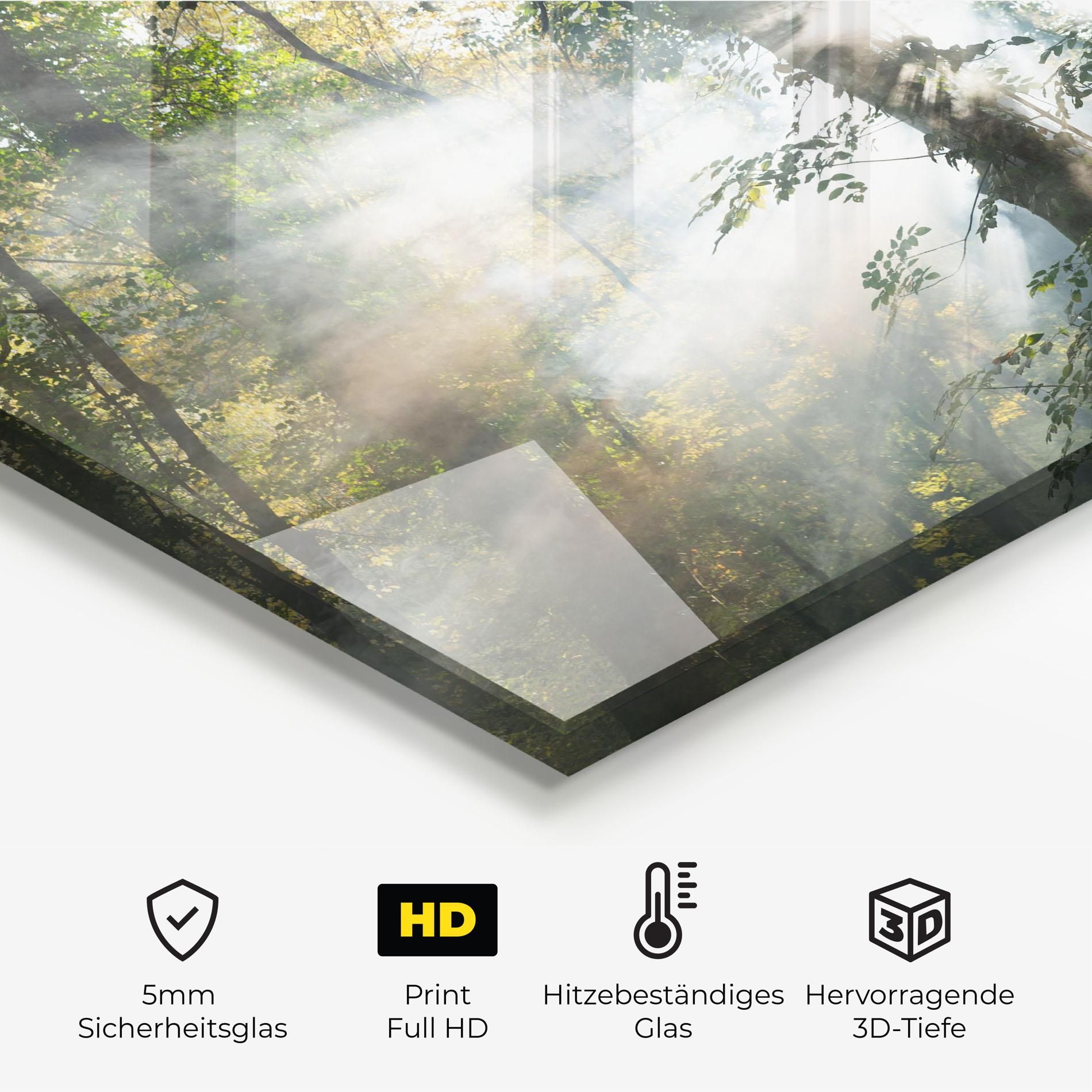 Foggy Light Forest mockup 2