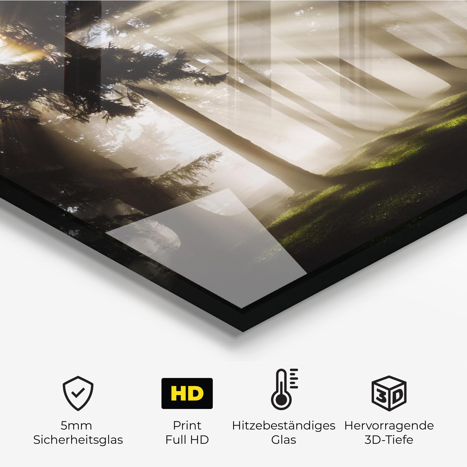 Küchenrückwand Glas Forest Foggy Daylight mockup 2