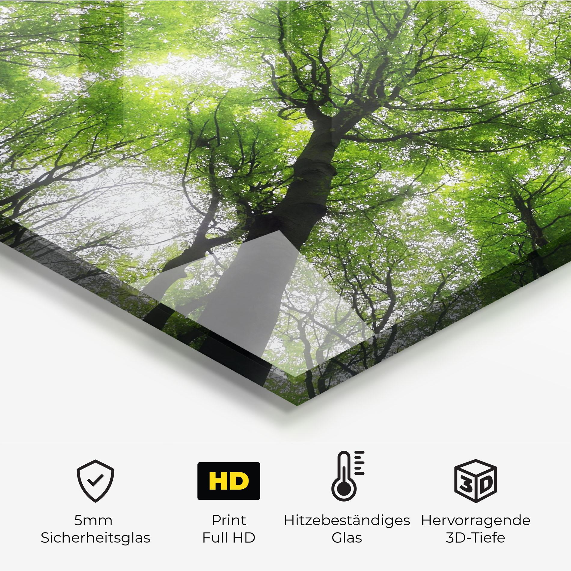Küchenrückwand Glas Forest Green Tree mockup 2