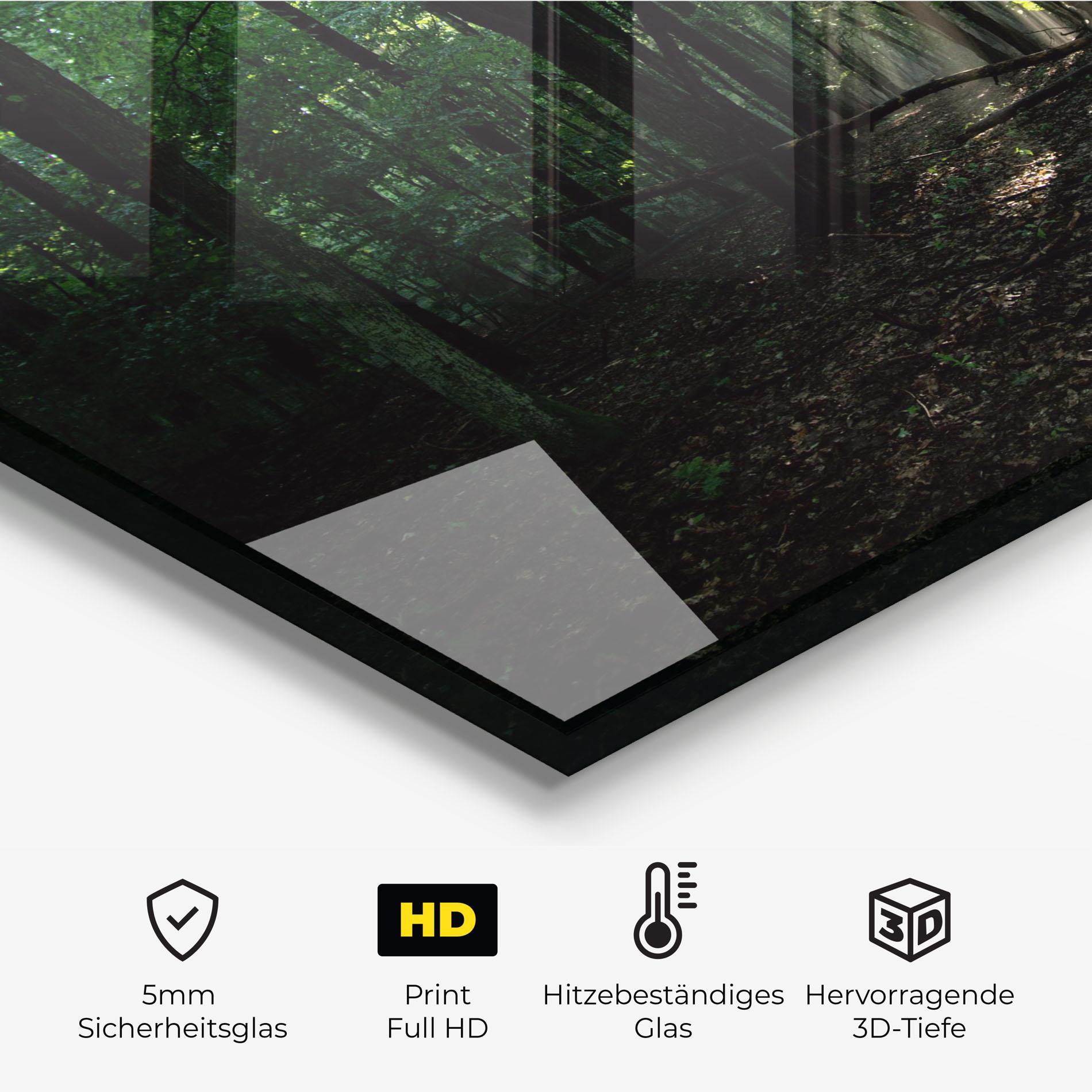 Küchenrückwand Glas Forest Sun Light mockup 2