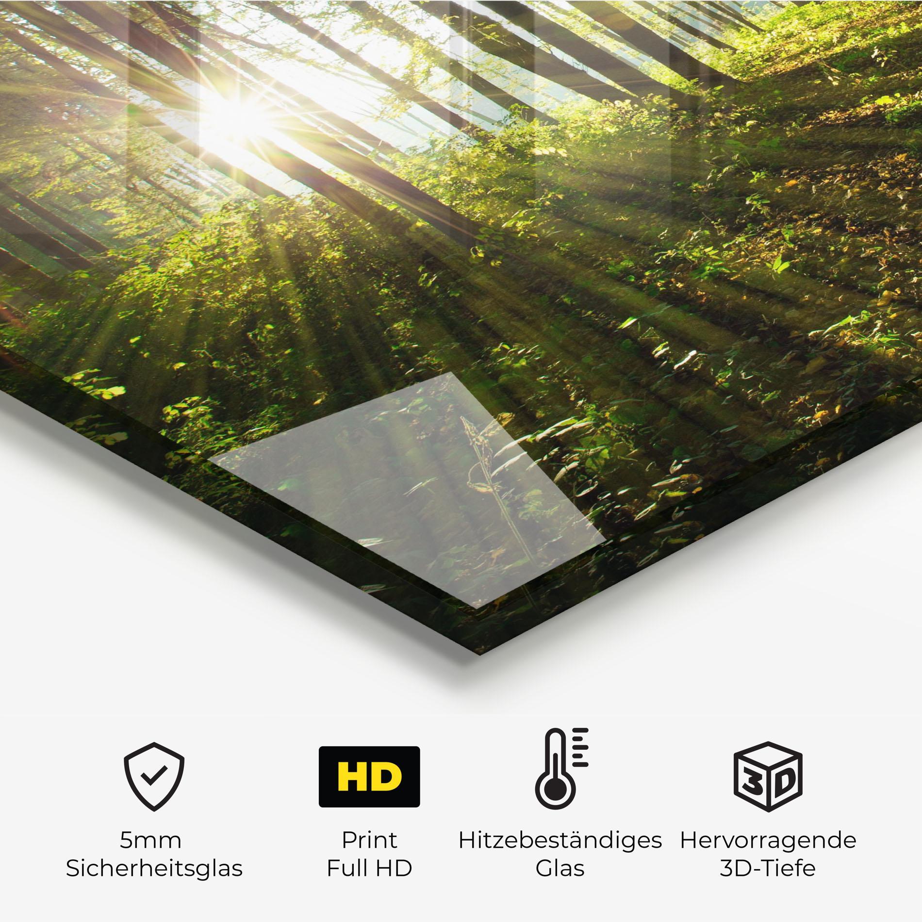 Küchenrückwand Glas Green Light Forest mockup 2