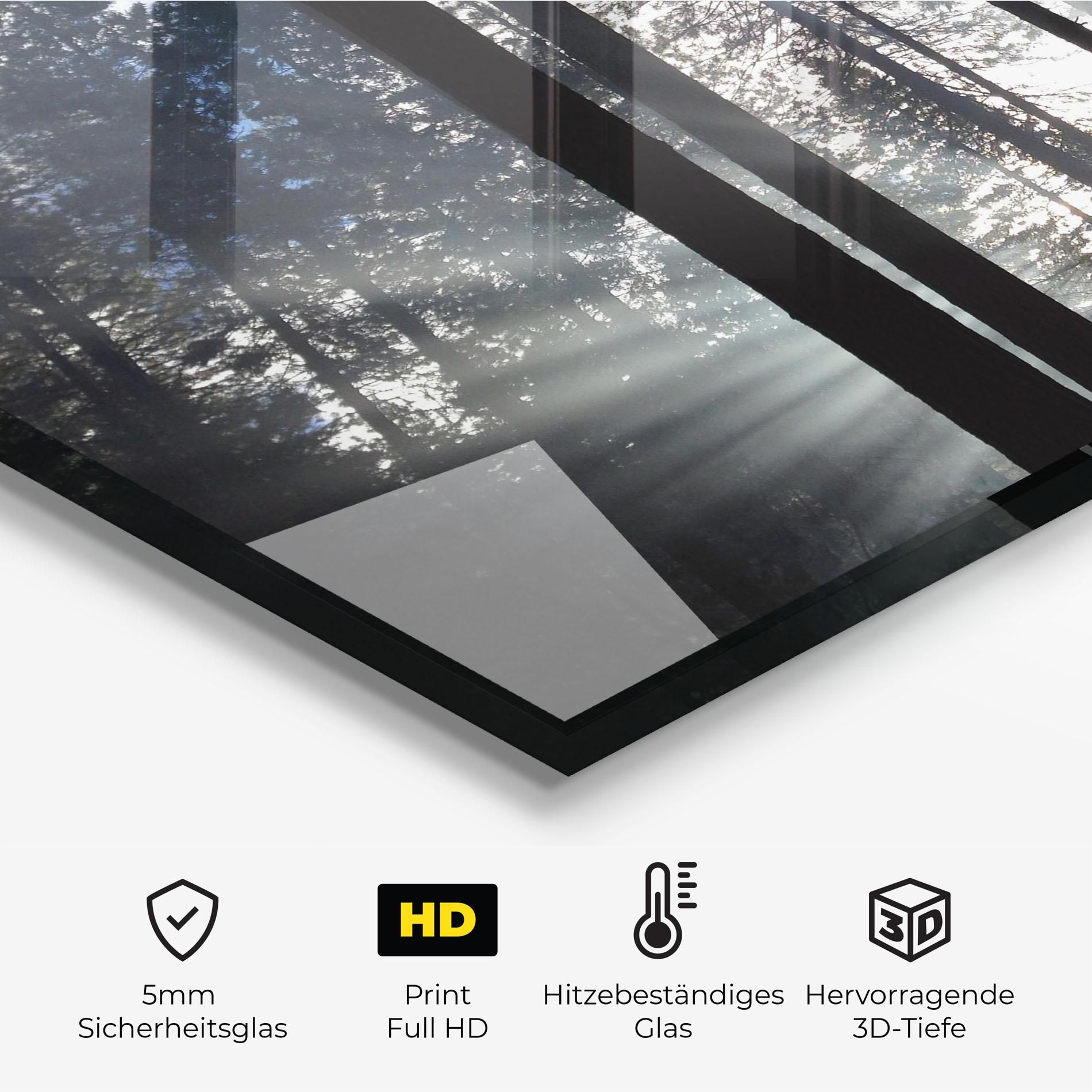 Morning Light Forest mockup 2