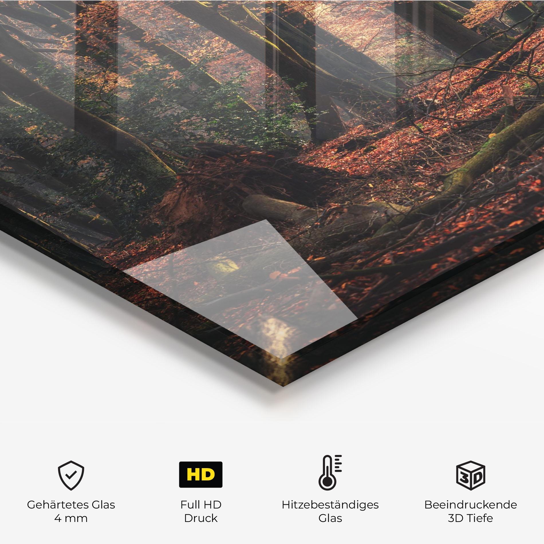 Küchenrückwand Glas Autumn Forest Trees mockup 2