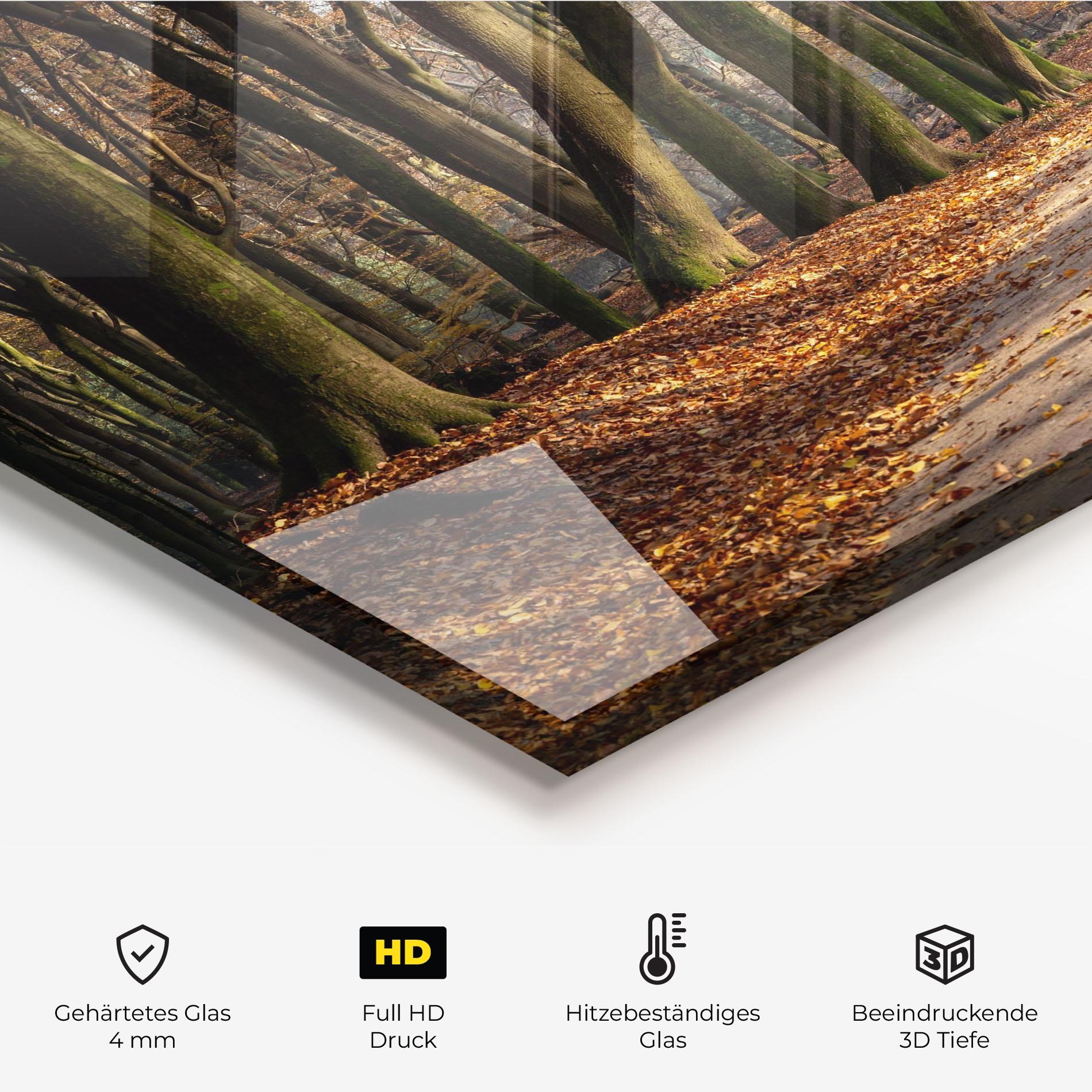Küchenrückwand Glas Autumn Path Forest mockup 2