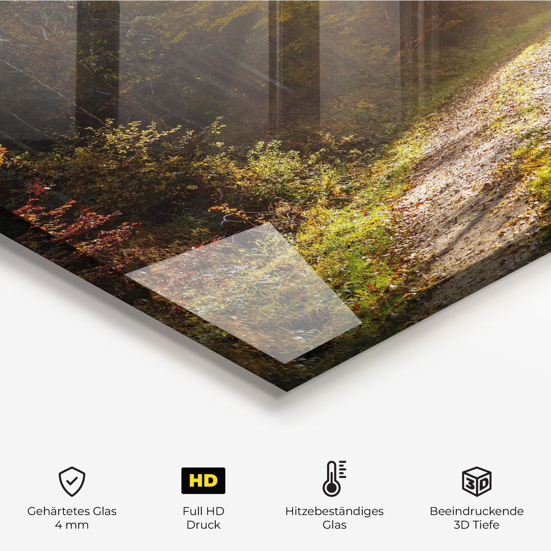 Küchenrückwand Glas Autumn Trees Sun mockup 2