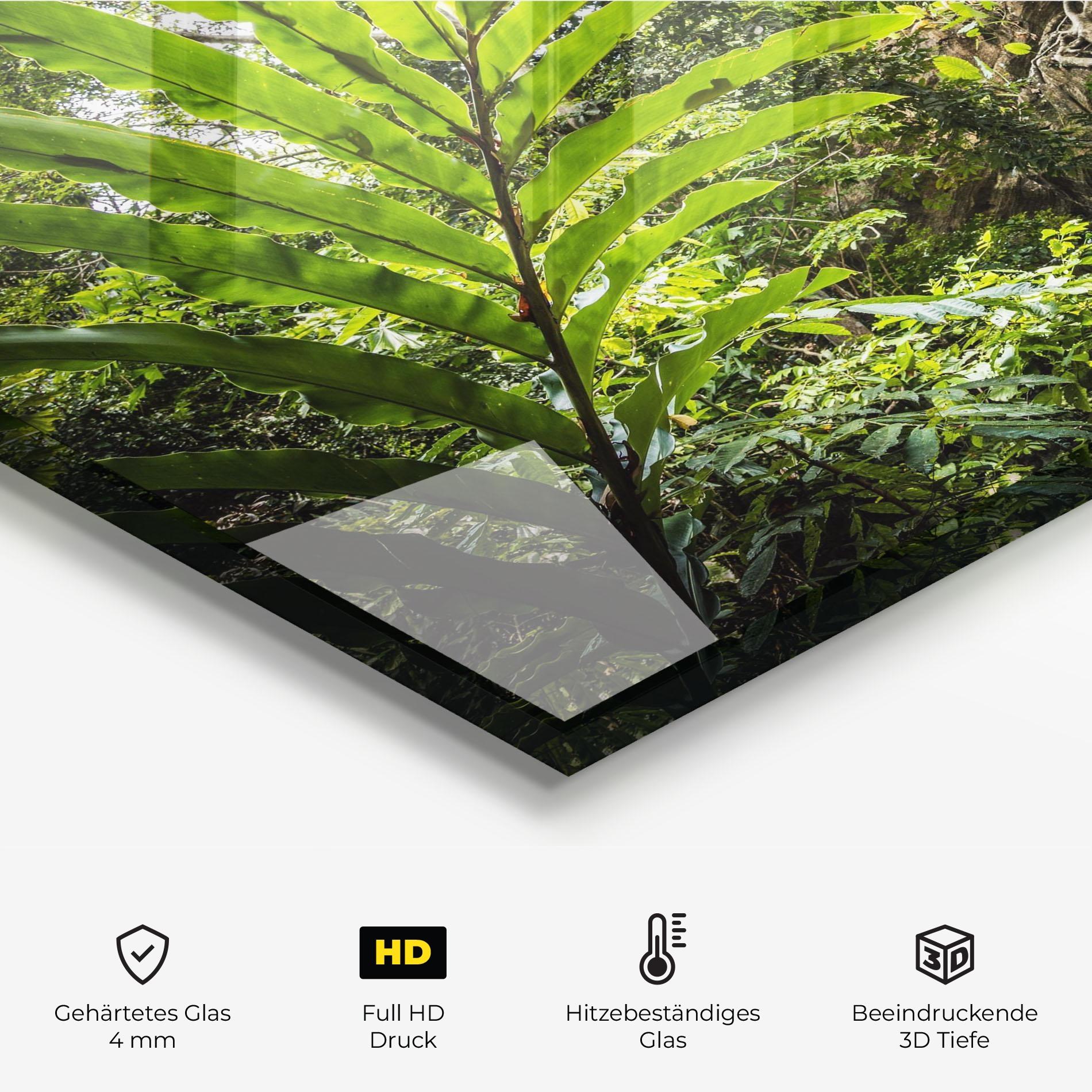 Küchenrückwand Glas Big Leaf Forest mockup 2