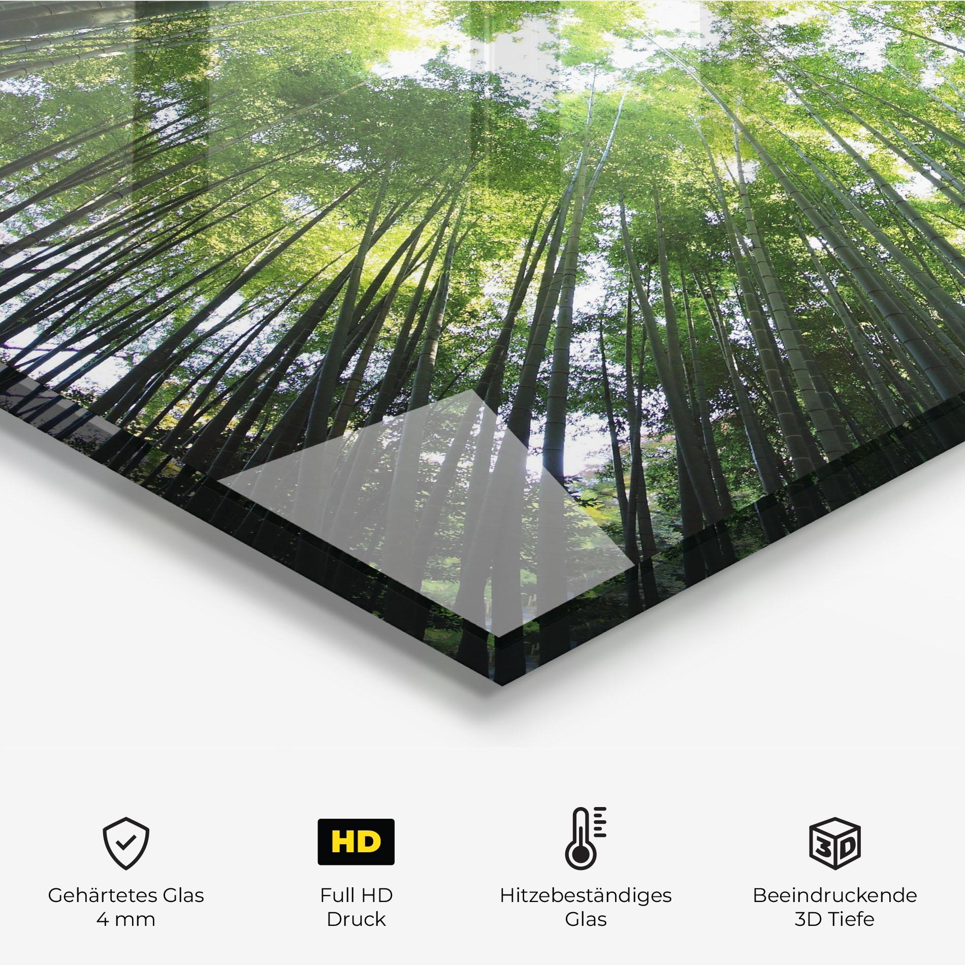 Küchenrückwand Glas Big Trees Morning mockup 2