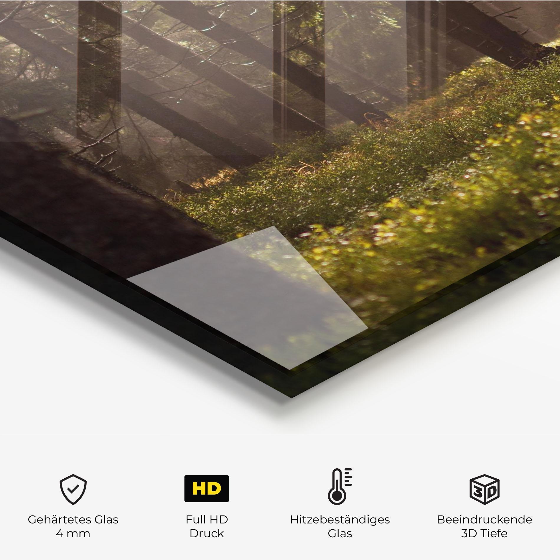 Küchenrückwand Glas Daylight Forest mockup 2