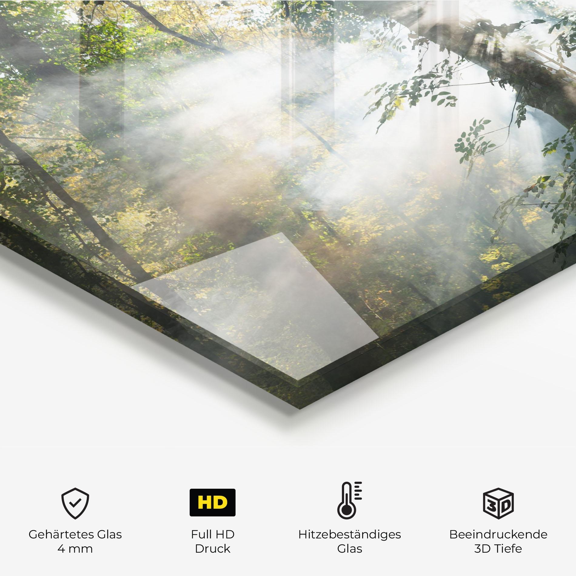 Küchenrückwand Glas Foggy Light Forest mockup 2
