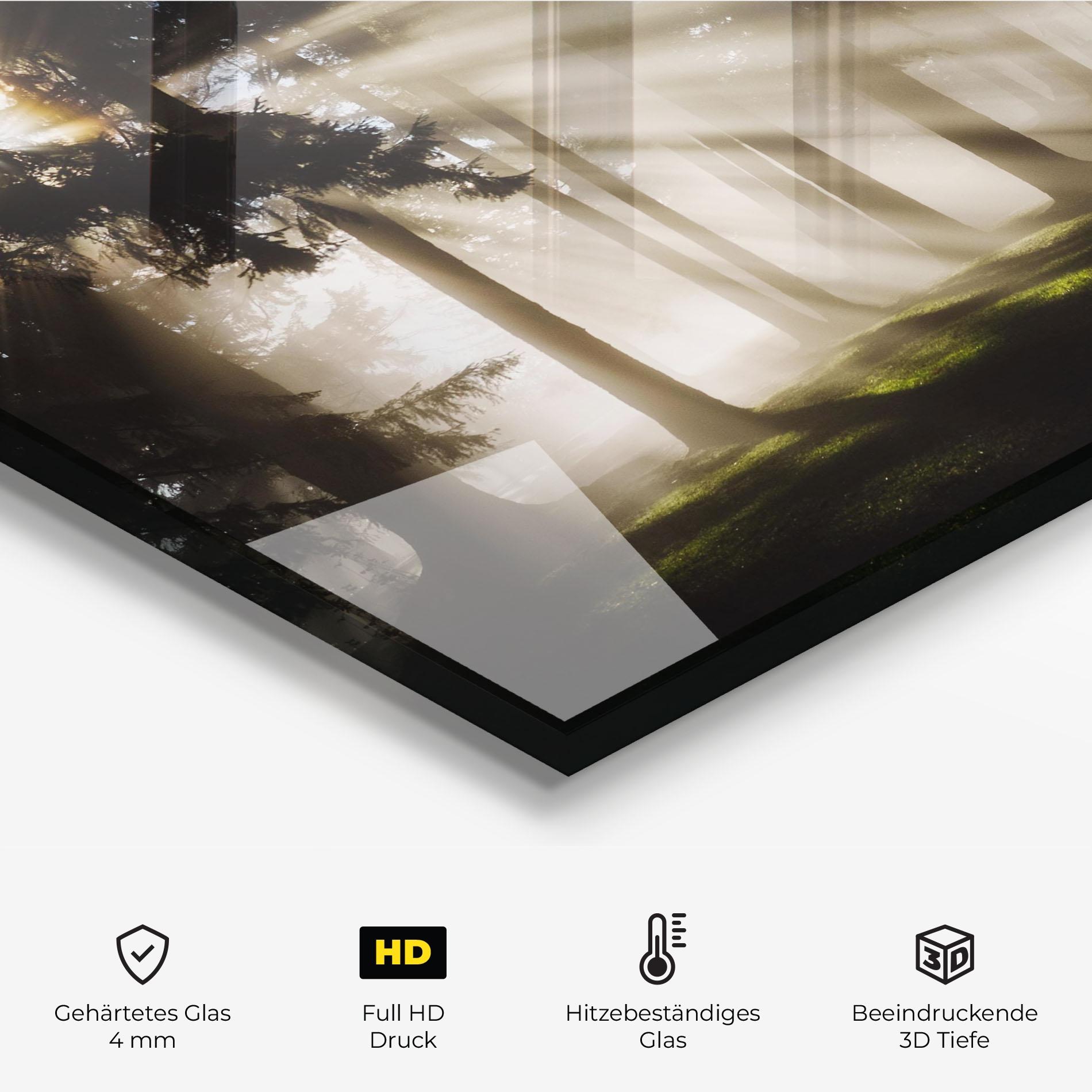 Küchenrückwand Glas Forest Foggy Daylight mockup 2