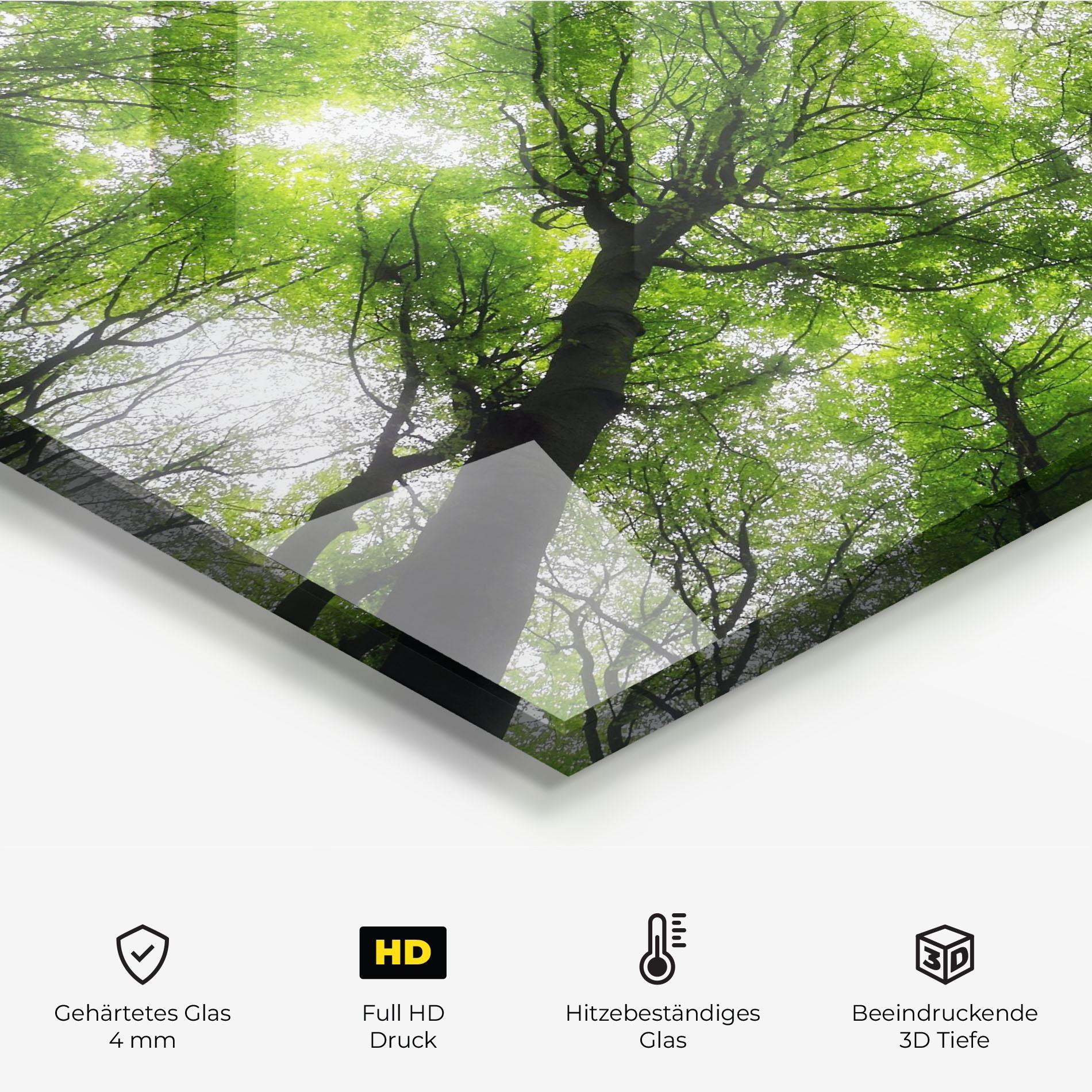 Küchenrückwand Glas Forest Green Tree mockup 2