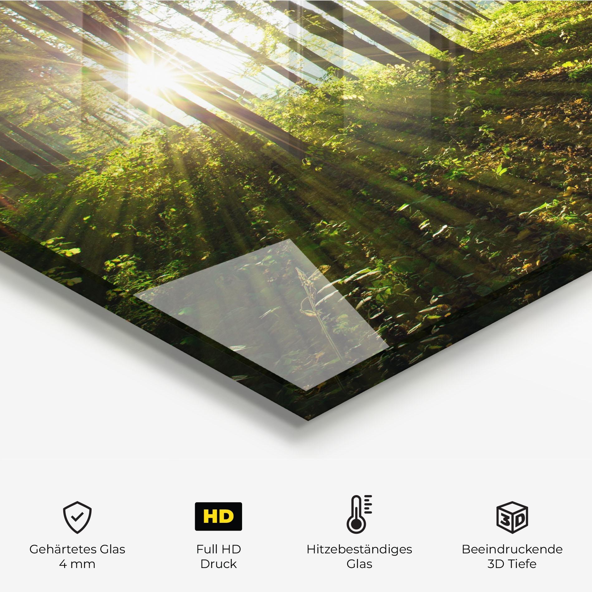 Küchenrückwand Glas Green Light Forest mockup 2