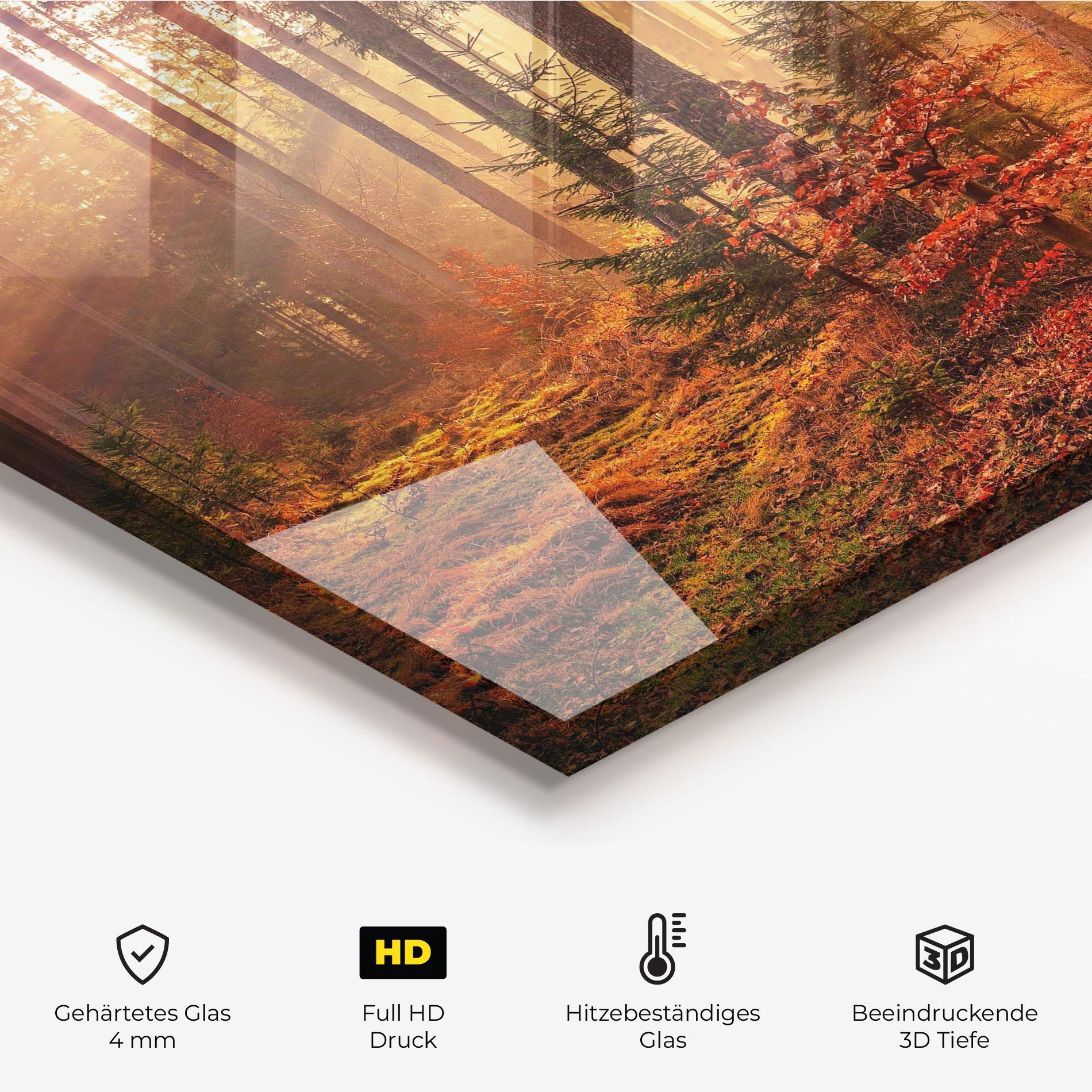 Küchenrückwand Glas Orange Light Forest mockup 2