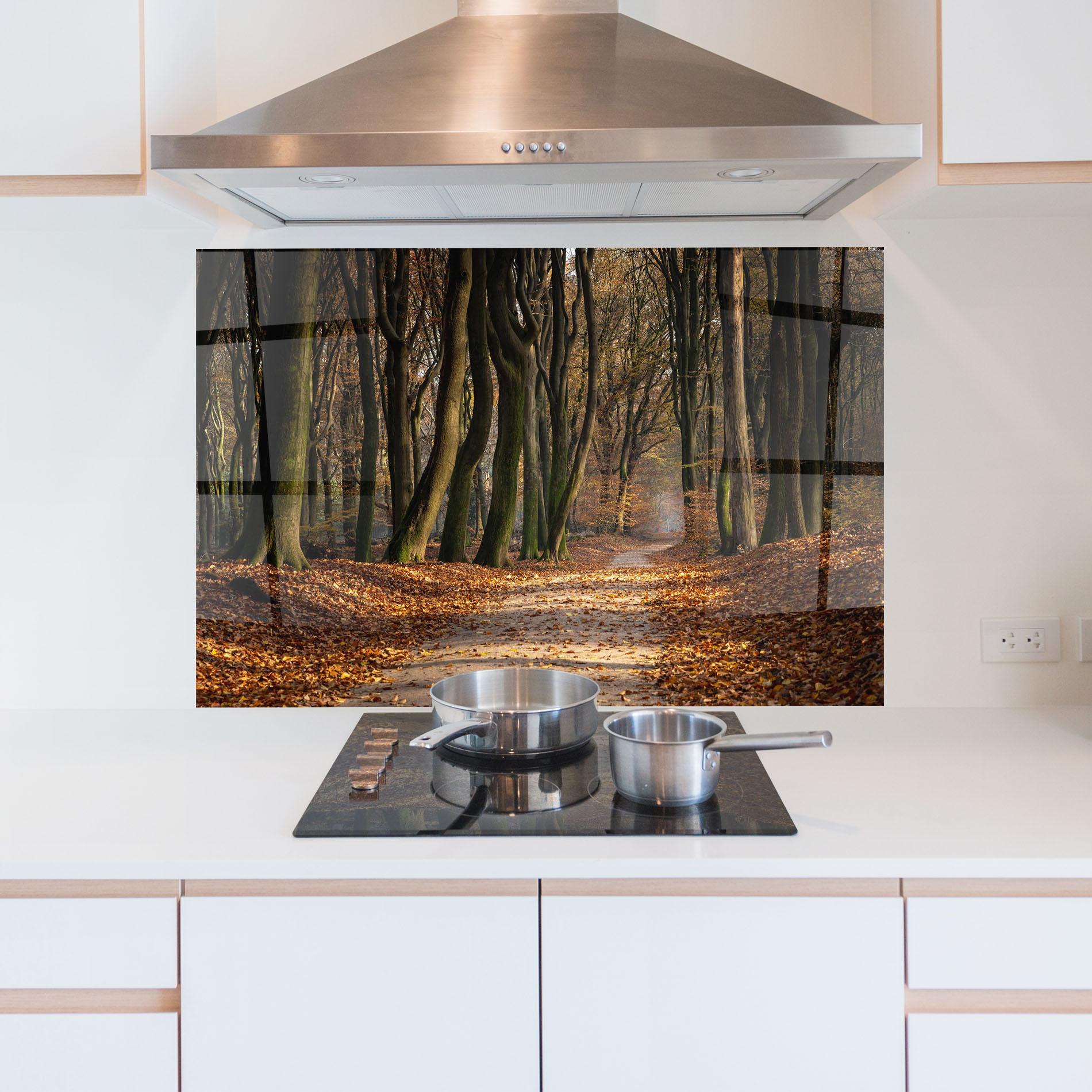 Küchenrückwand Glas Autumn Path Forest mockup 5