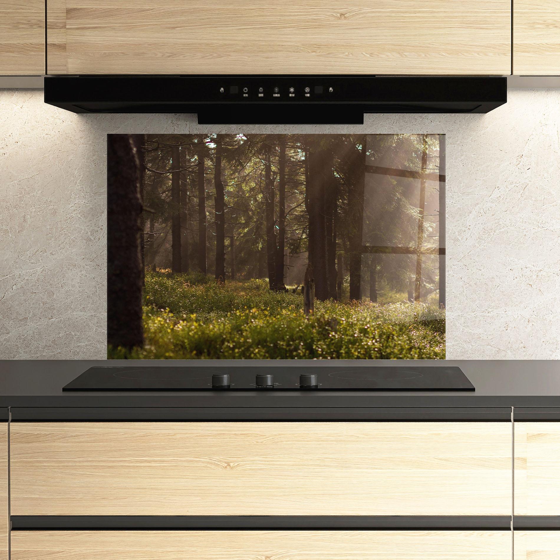 Küchenrückwand Glas Daylight Forest mockup 3