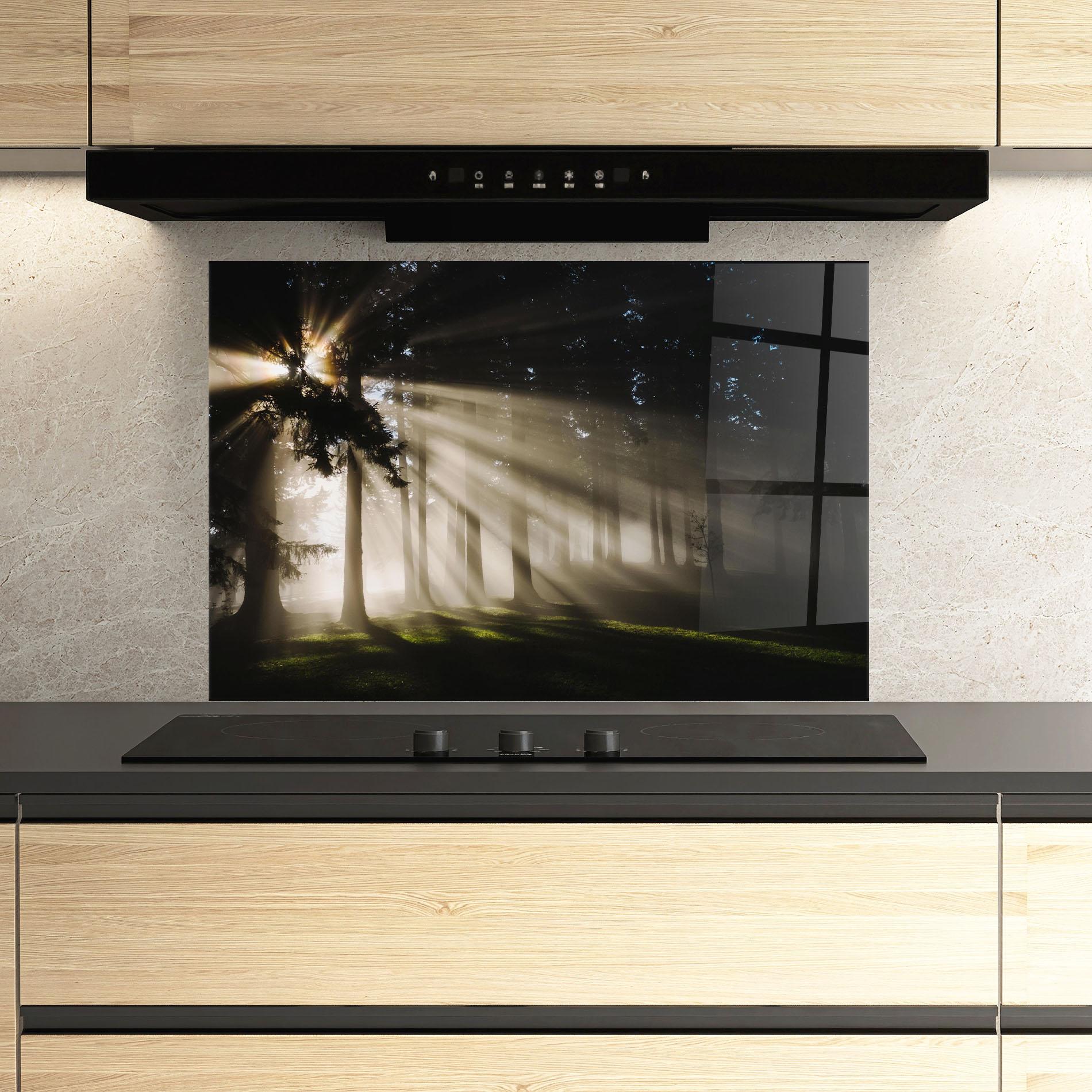 Küchenrückwand Glas Forest Foggy Daylight mockup 3