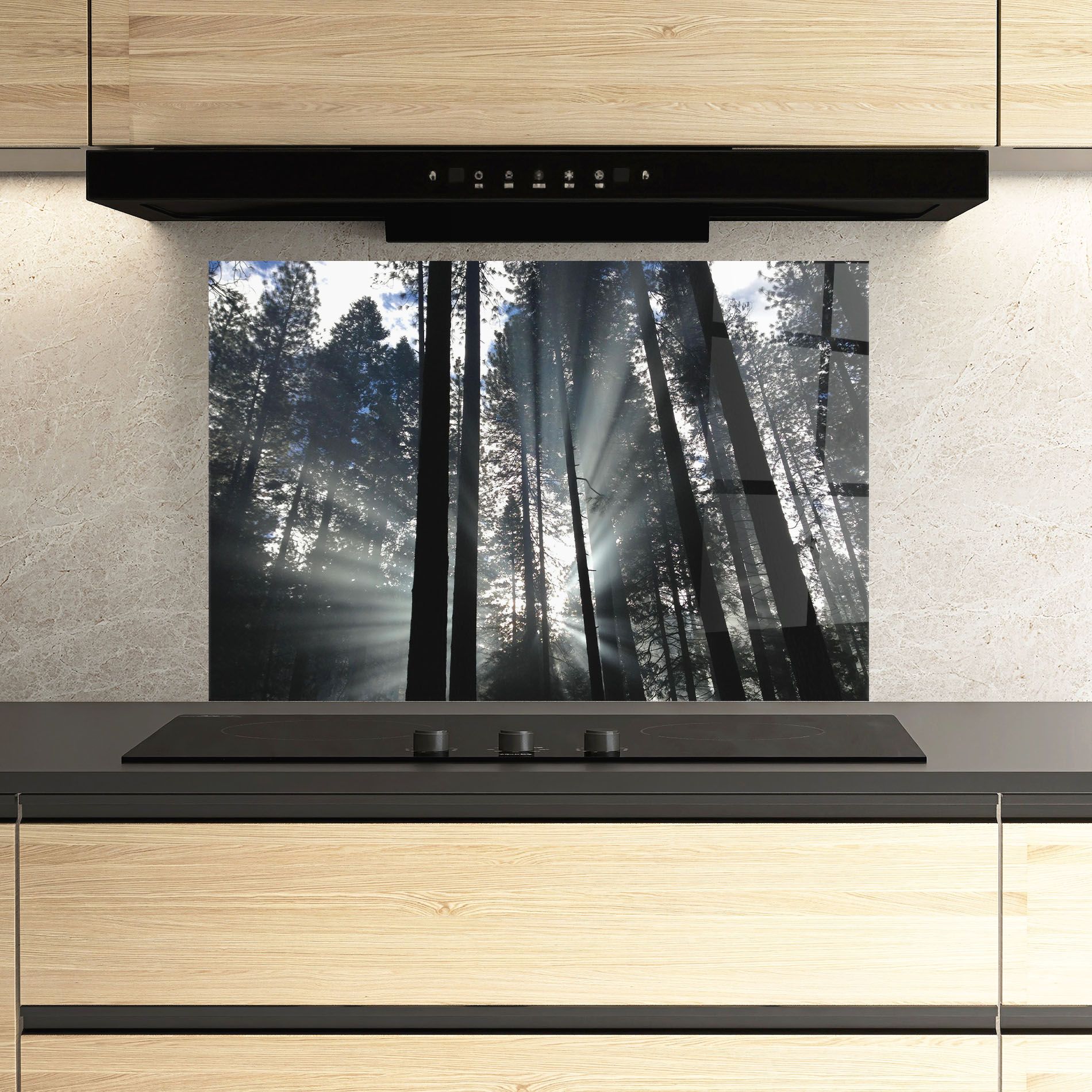 Morning Light Forest mockup 3