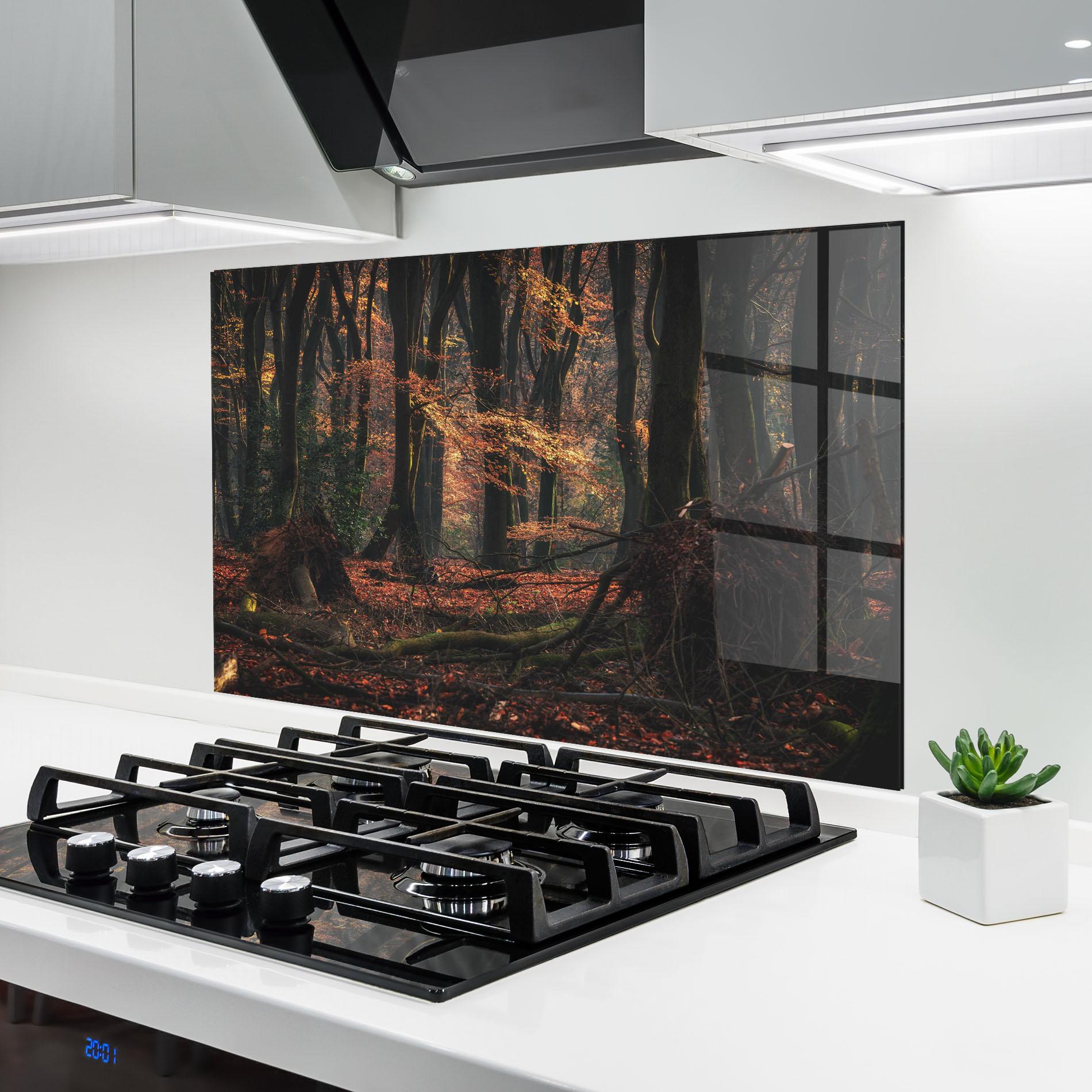 Küchenrückwand Glas Autumn Forest Trees mockup 6