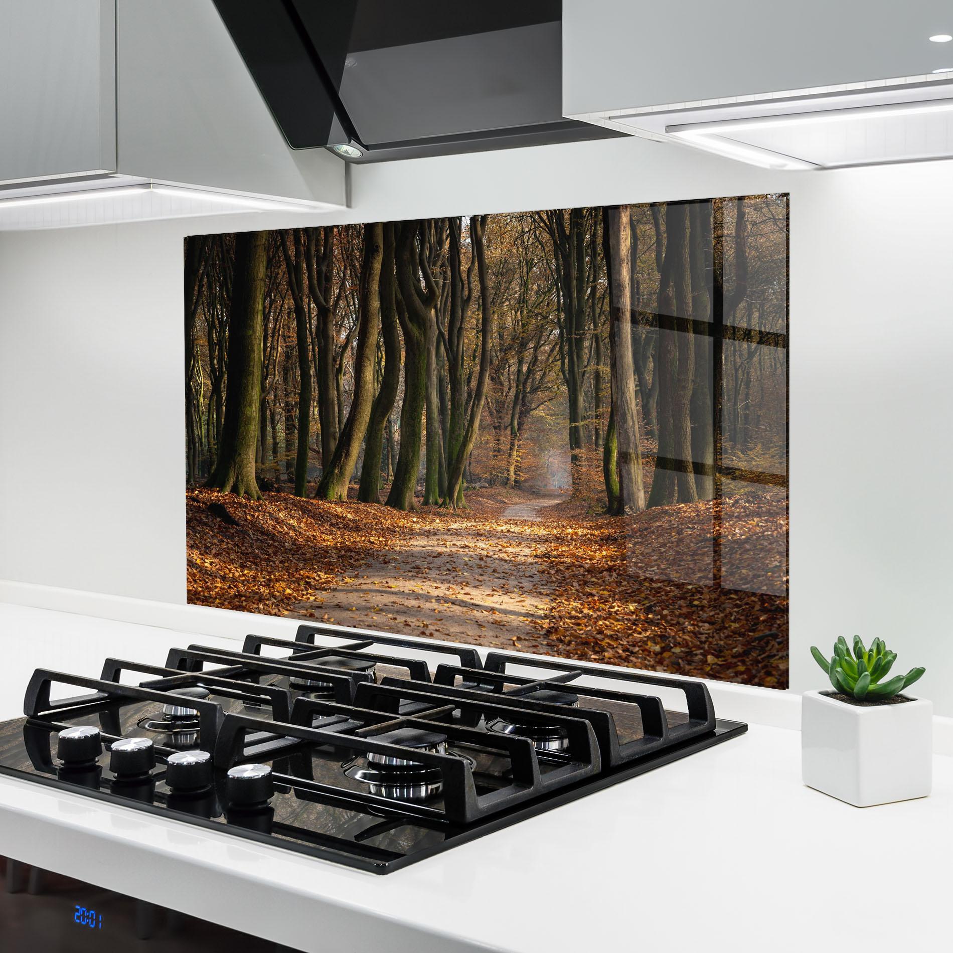 Küchenrückwand Glas Autumn Path Forest mockup 6
