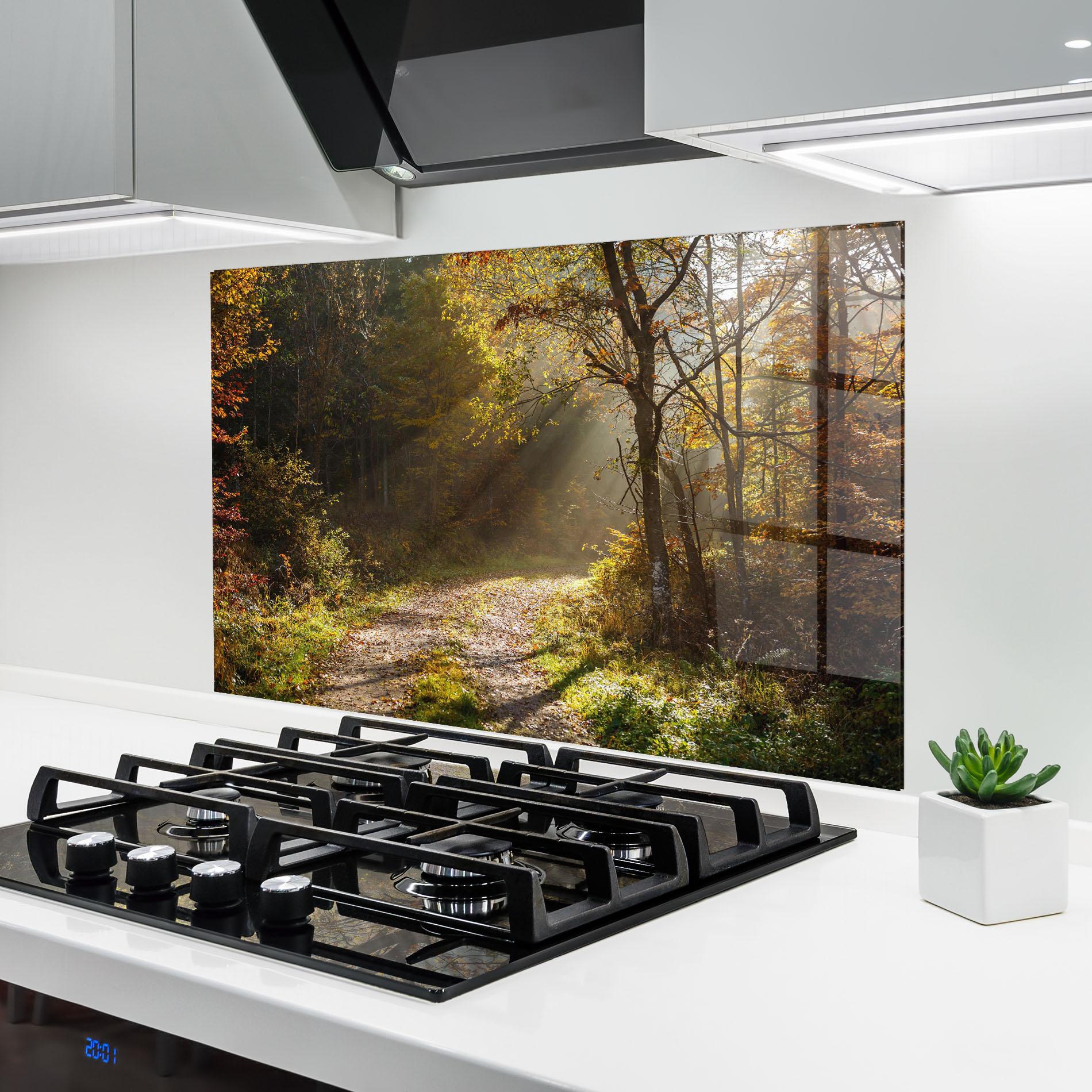 Küchenrückwand Glas Autumn Trees Sun mockup 6
