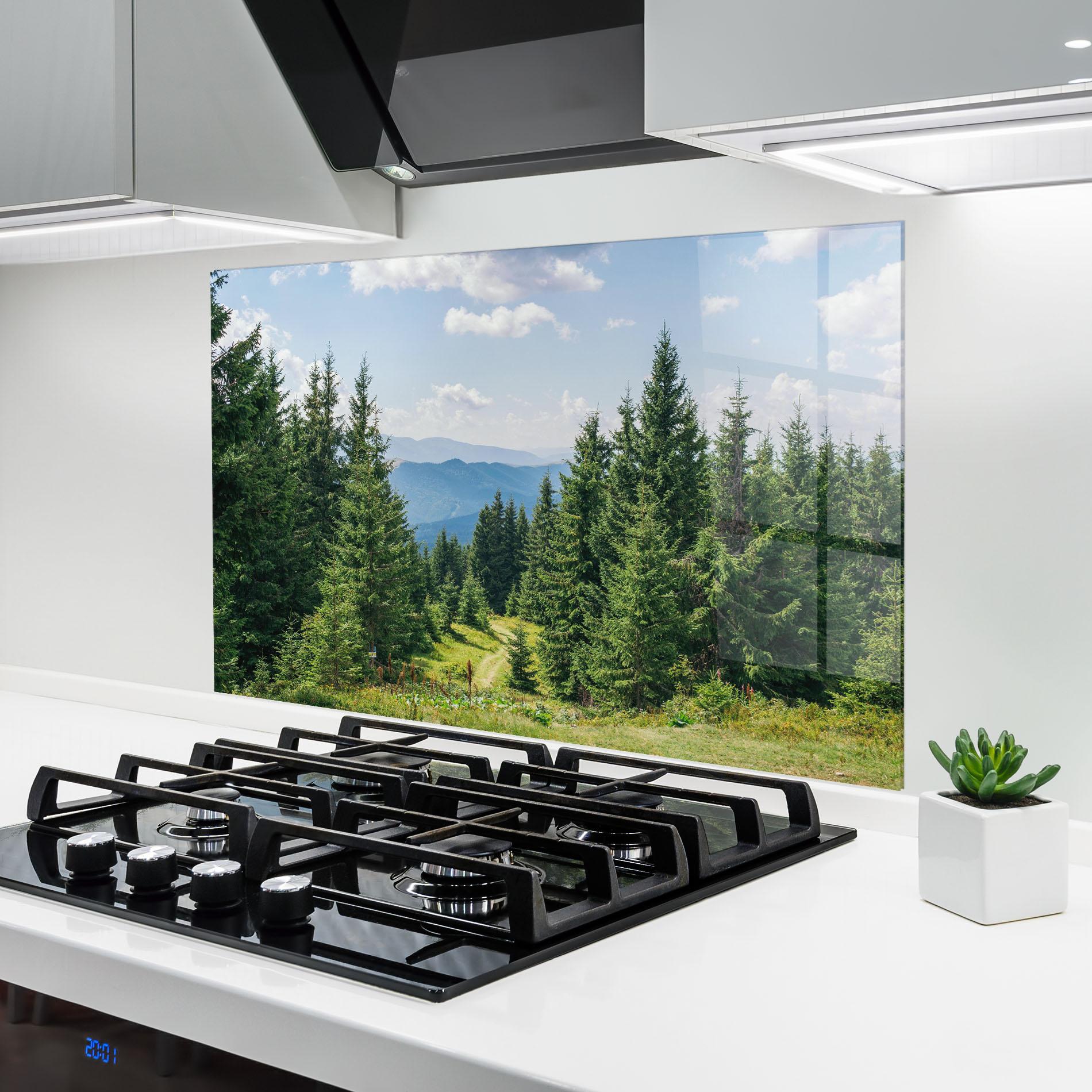 Küchenrückwand Glas Carpathian Mountain mockup 6