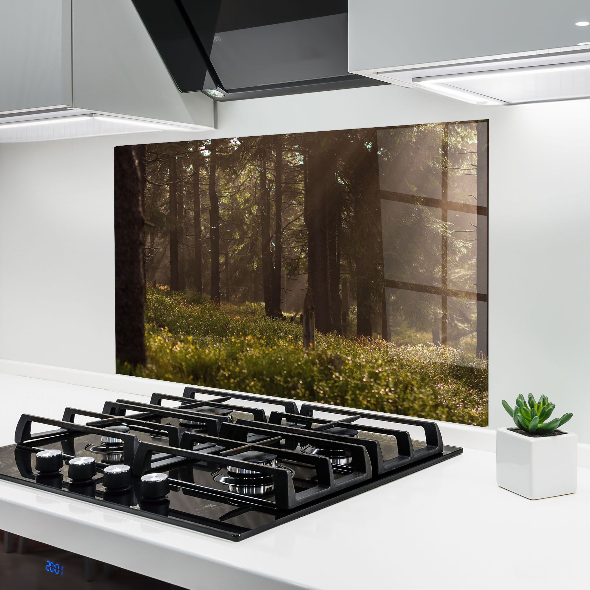 Daylight Forest mockup 6